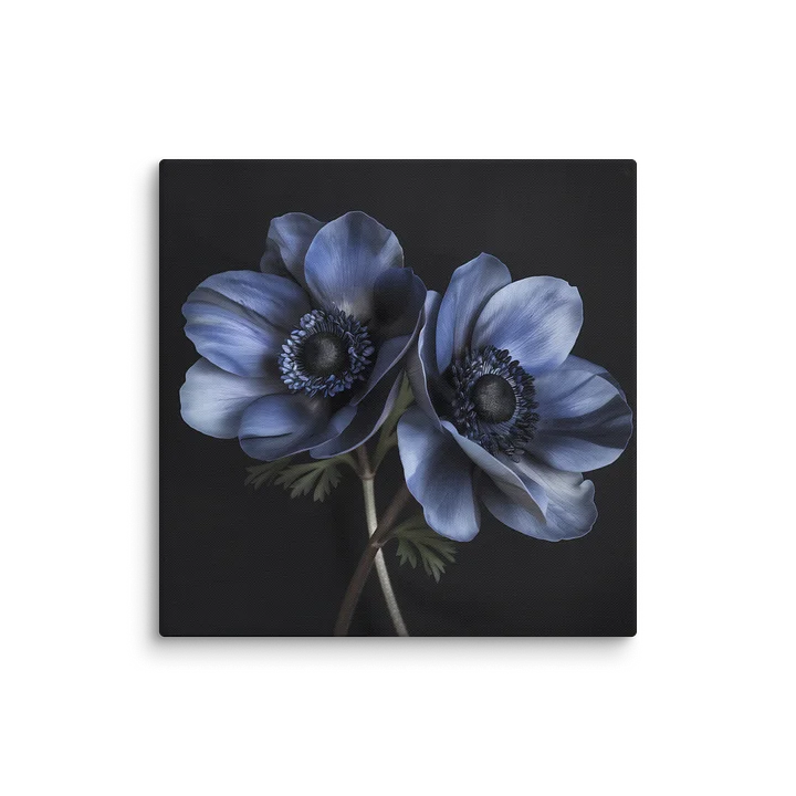 Dual Form | Nocturne Anemone III — Canvas product image (2)