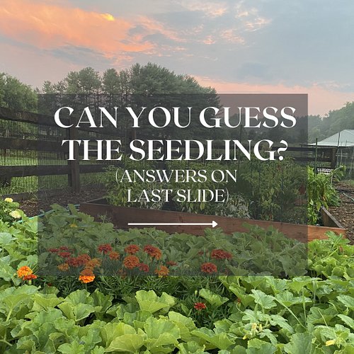 Some of these are easy and some are definitely trickier than they look. 

Swipe through, make your guesses and tell me in the...