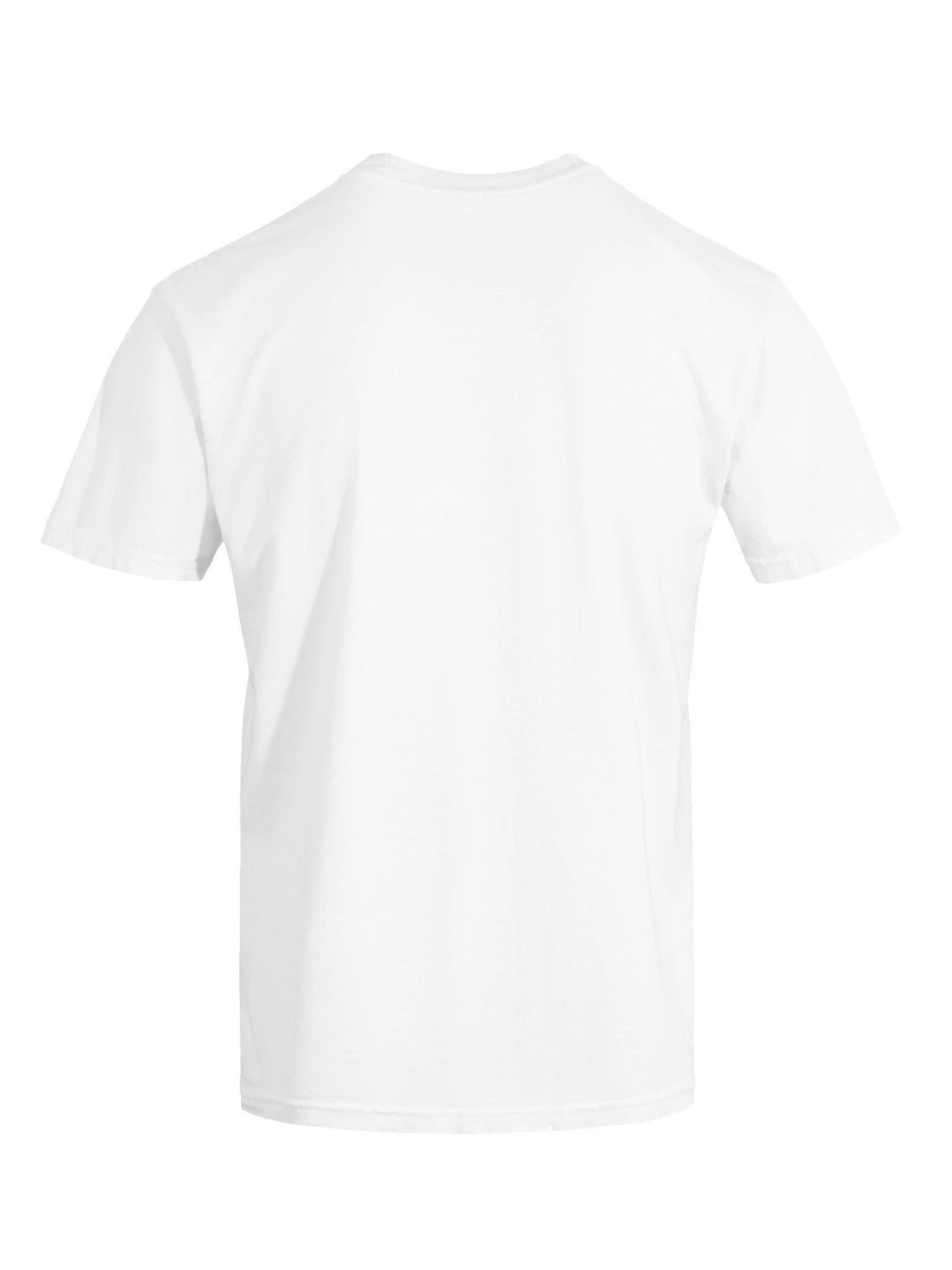 DMS Garment-Dyed Tee product image (31)