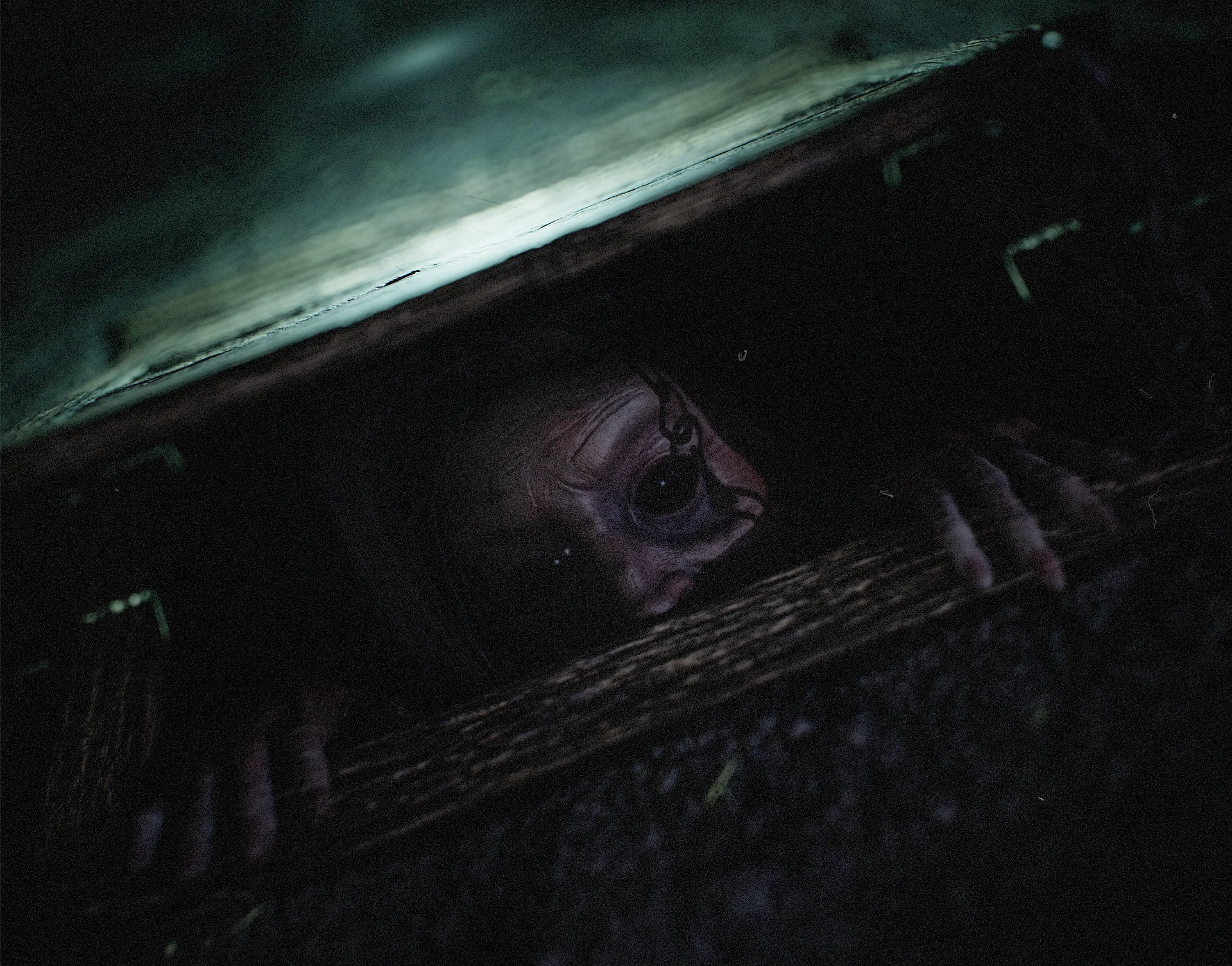 She's under the stairs product image (1)