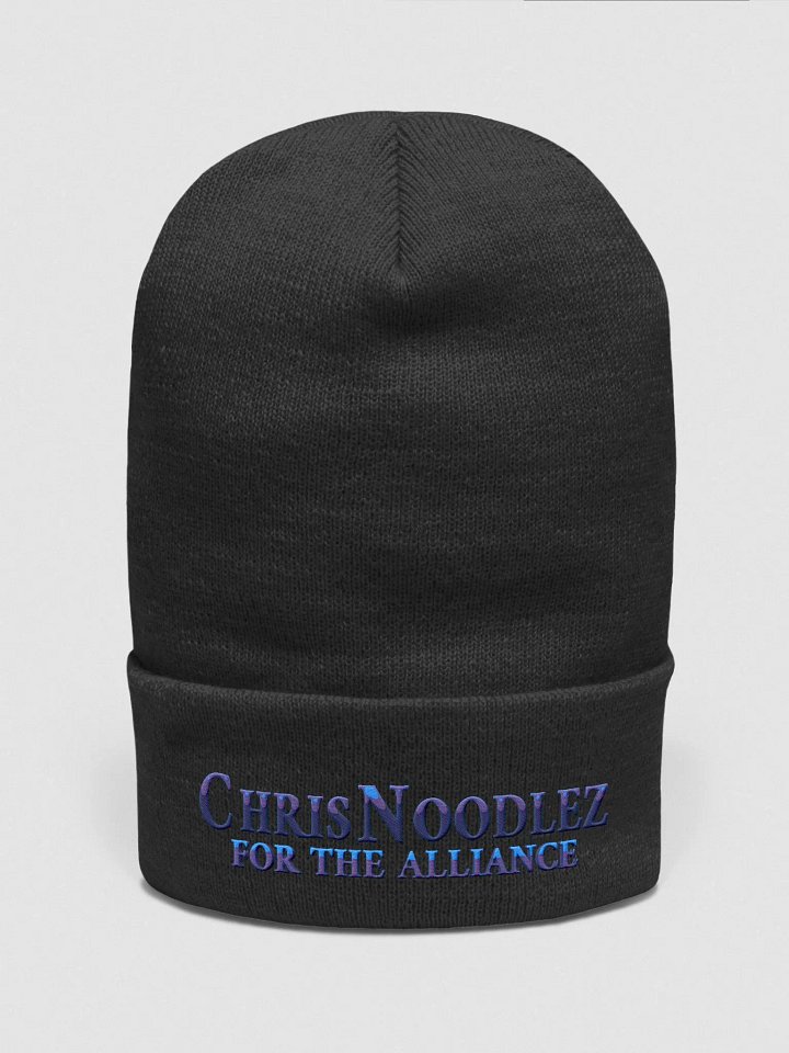 alliance hat product image (2)