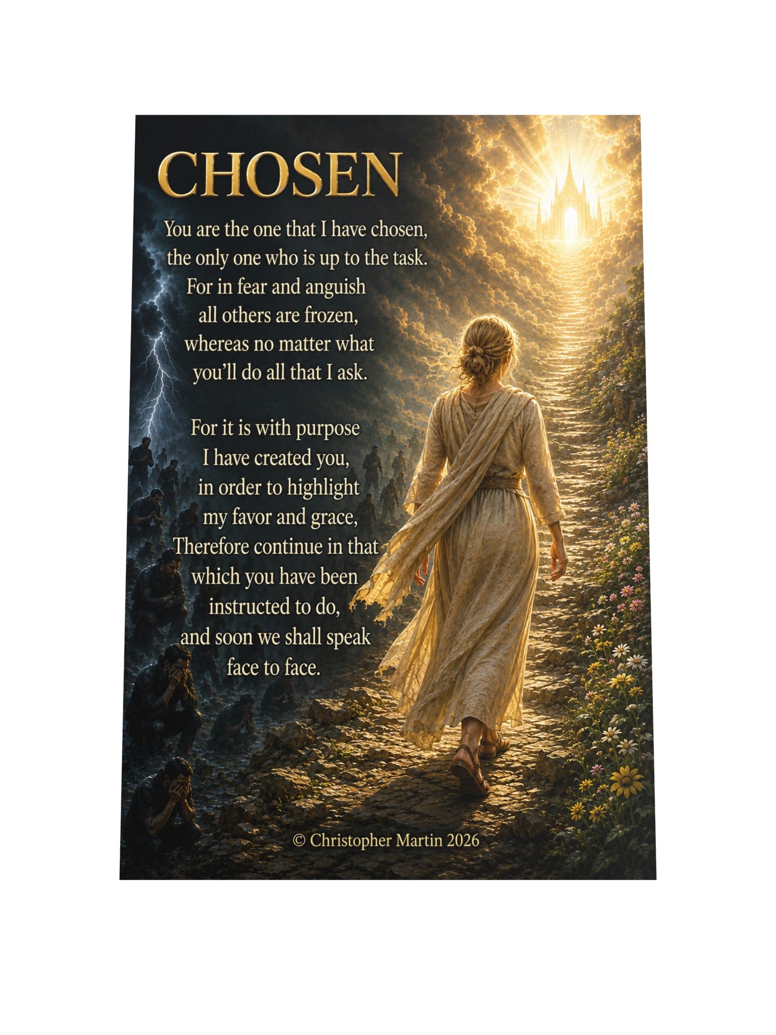 Chosen product image (1)
