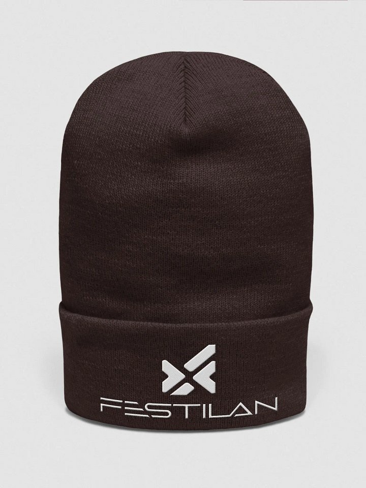 Tuque Festilan product image (1)
