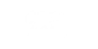 Create More