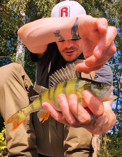 Stunning day for a spot of Lure Fishing for the Perch!
Anyone else get out?!
#fishing #perchfishing #lurefishing