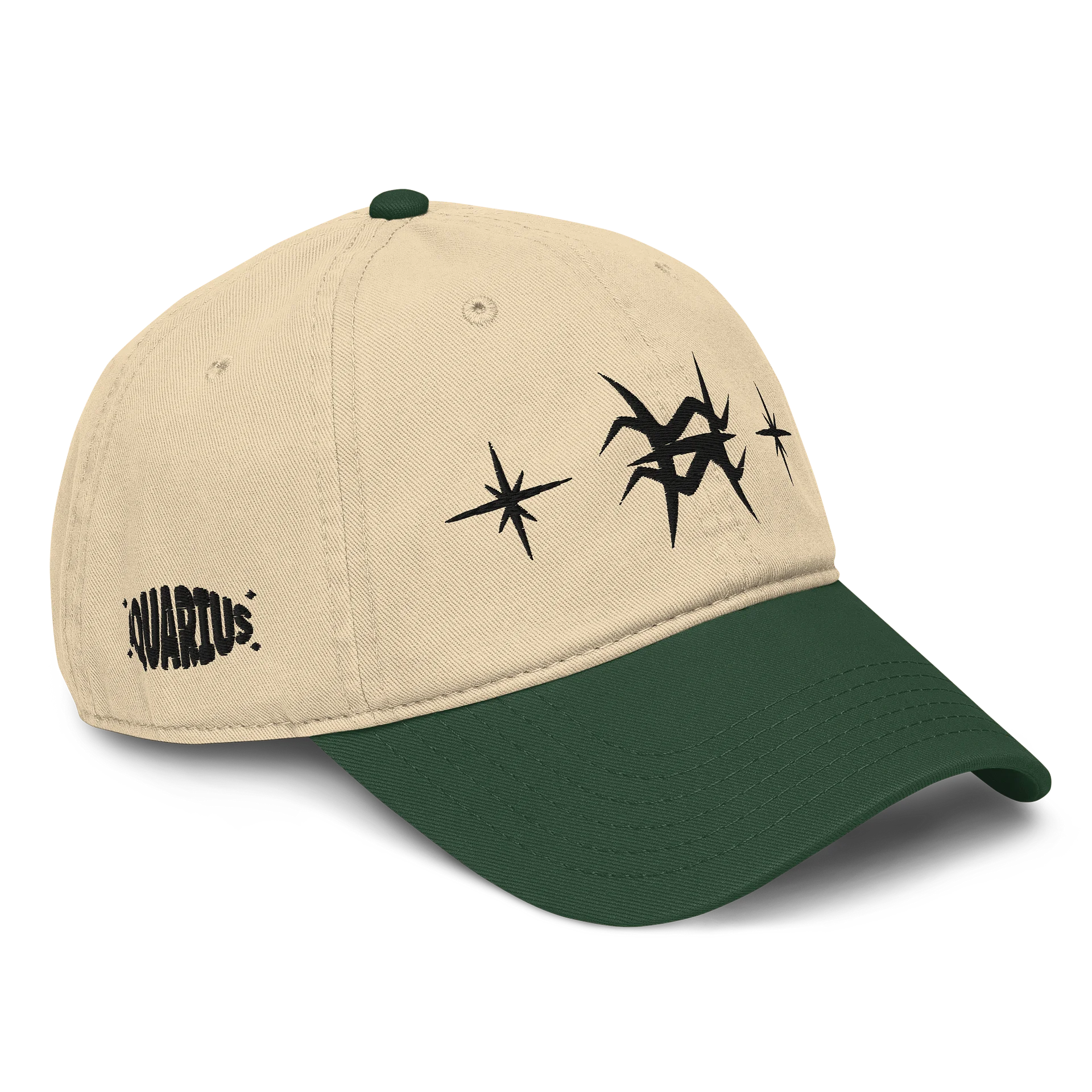 aquarius pisces cusp dad hat (black) product image (19)