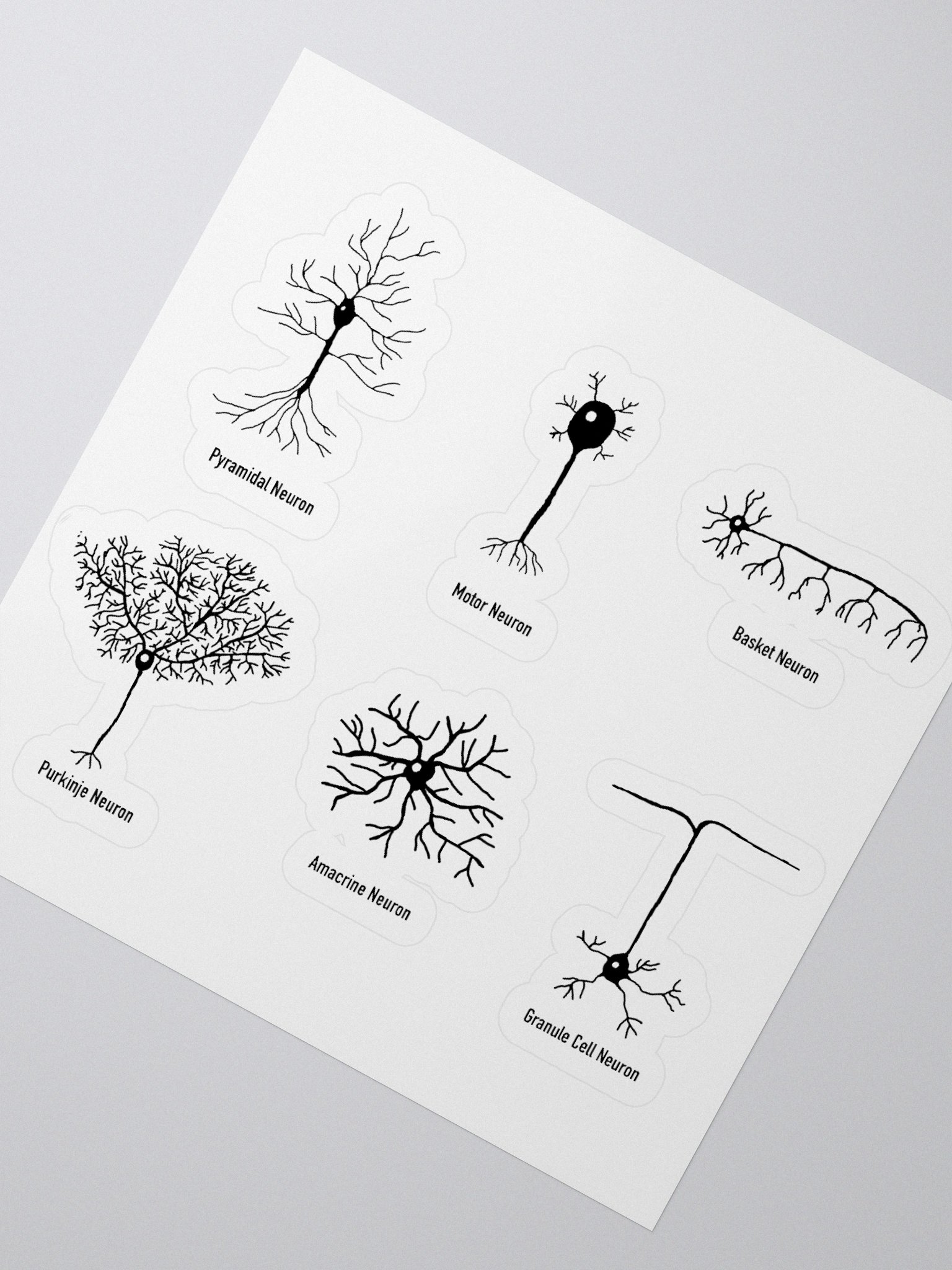 Types Of Neurons Kiss Cut Sticker product image (4)