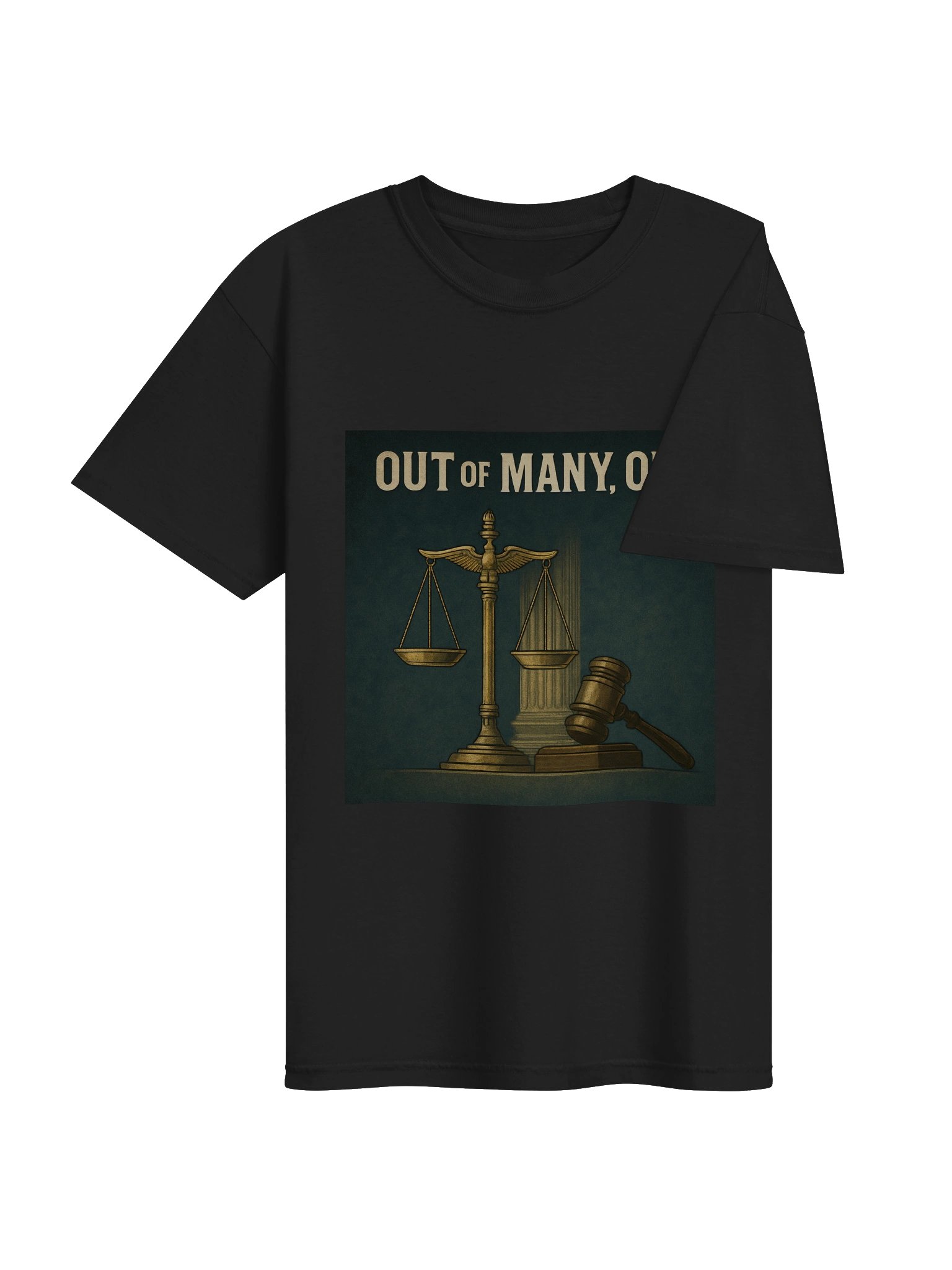 Out of Many T-Shirt product image (27)