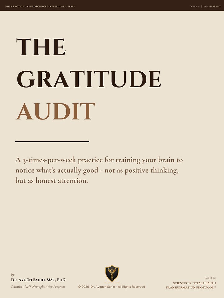 THE GRATITUDE AUDIT product image (1)