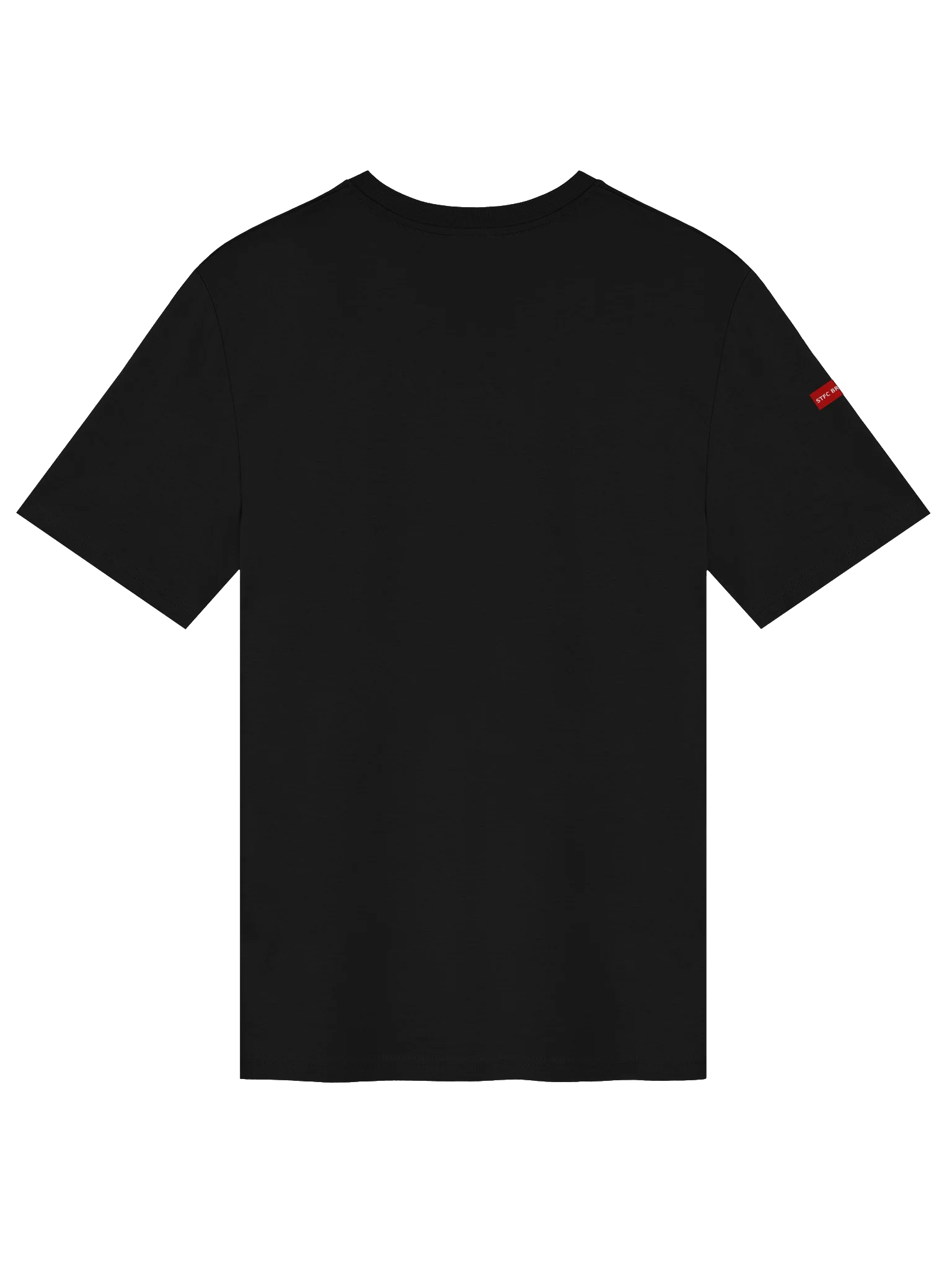 STFC Briefings VOTP Designer Collection Premium T-Shirt product image (16)
