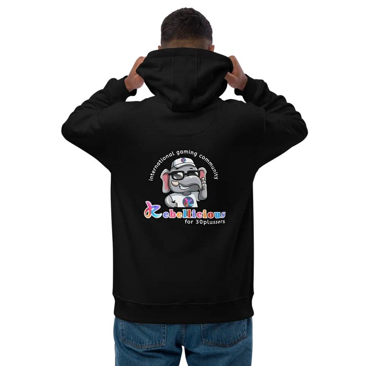 Rebellicious Sunglasses Eco Hoodie product image (2)