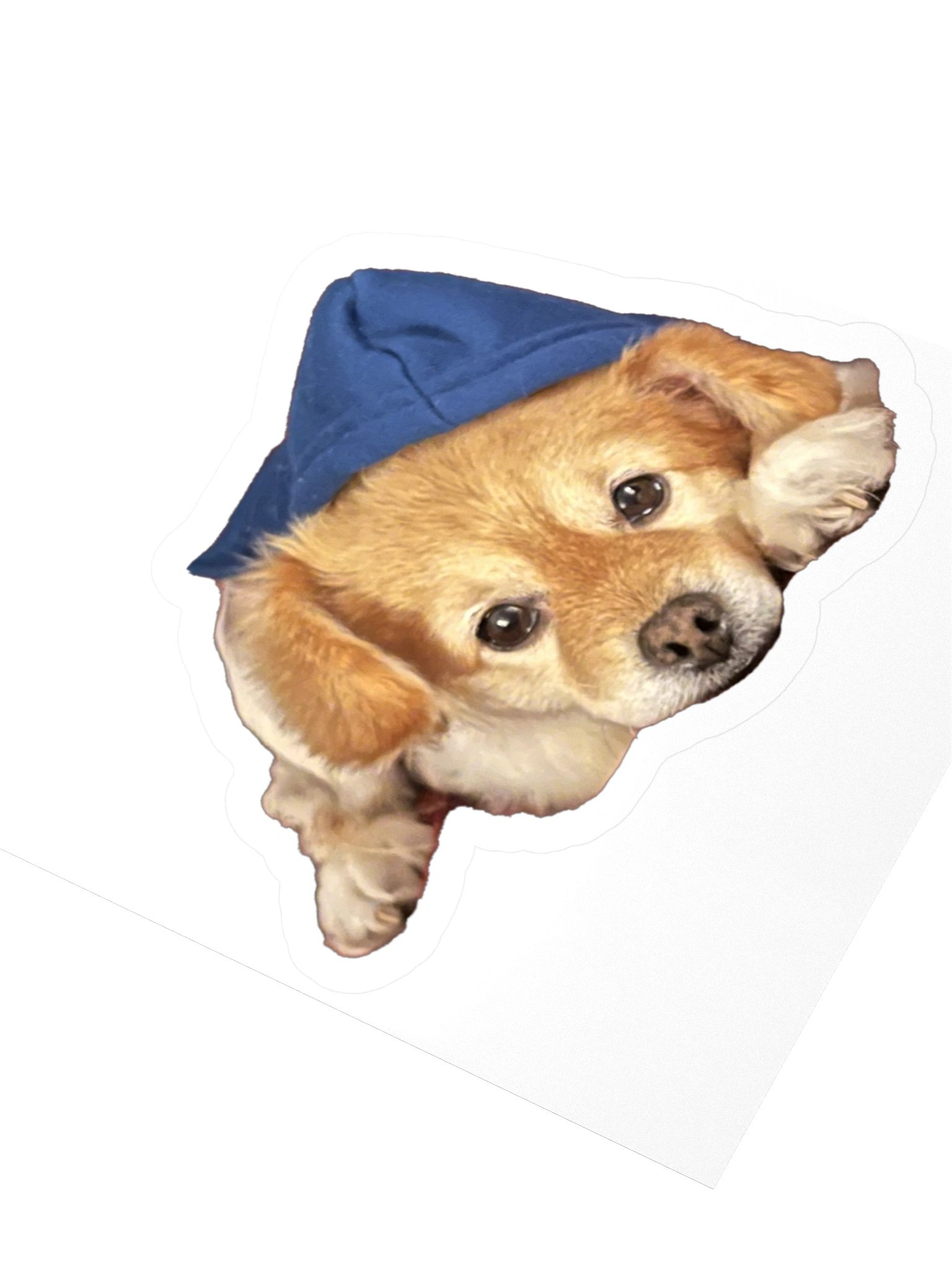 Youre a Wizard Harry product image (8)