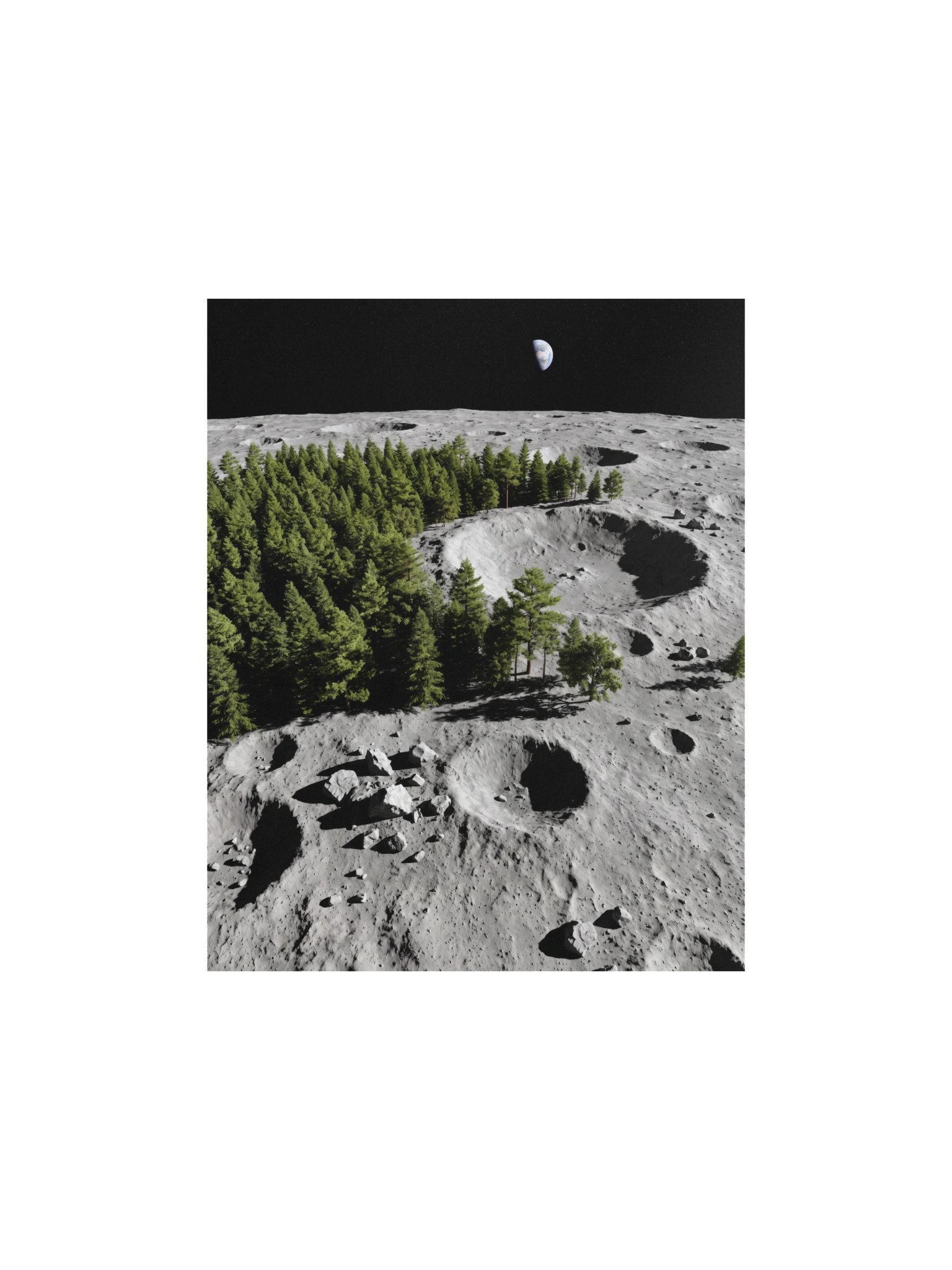 Can't See The Moon For The Trees product image (1)