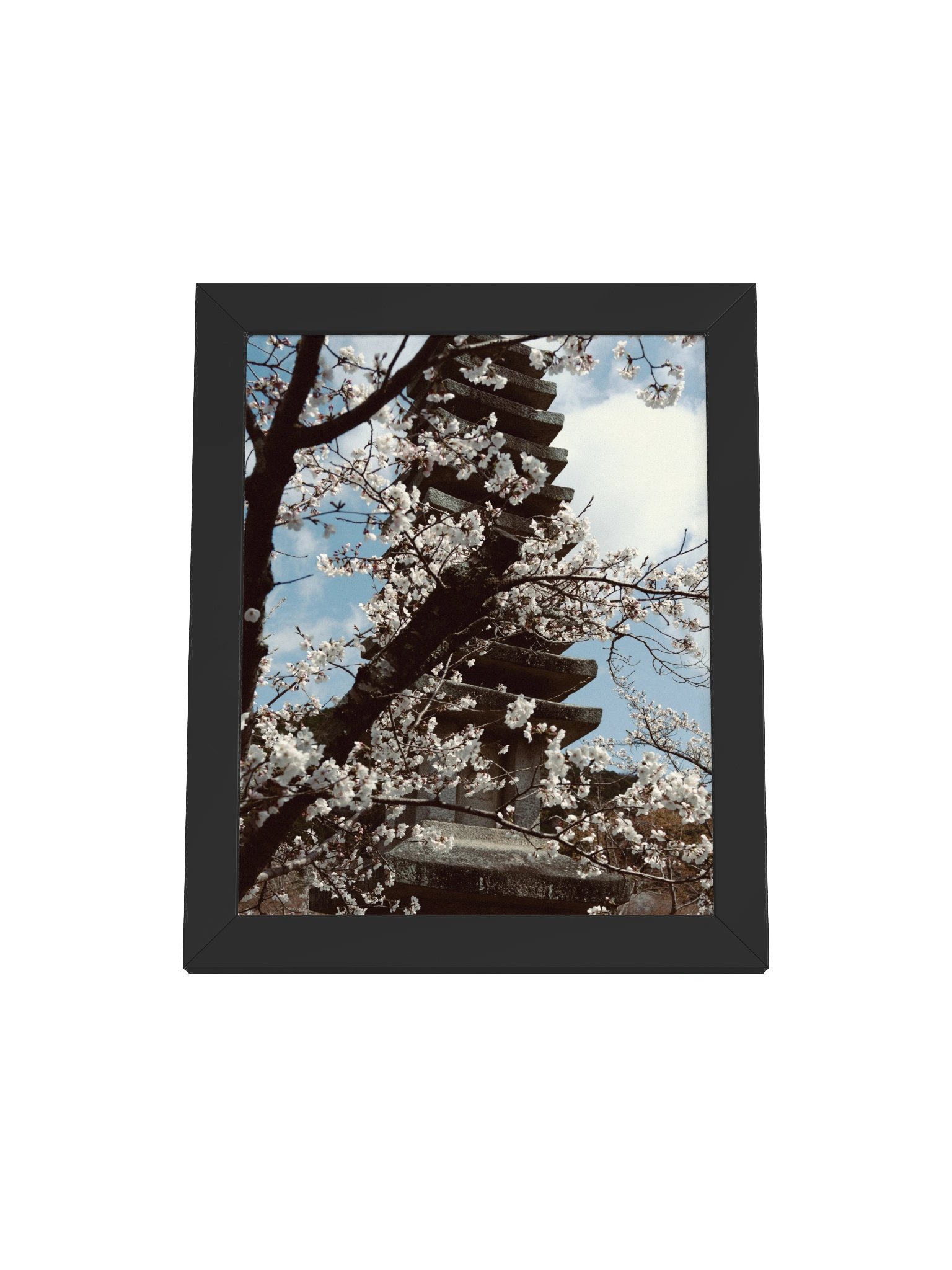 Kyoto Koyasu Pagoda & Sakura product image (17)