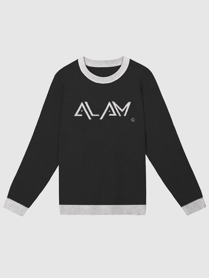 ALAM Sweater product image (4)