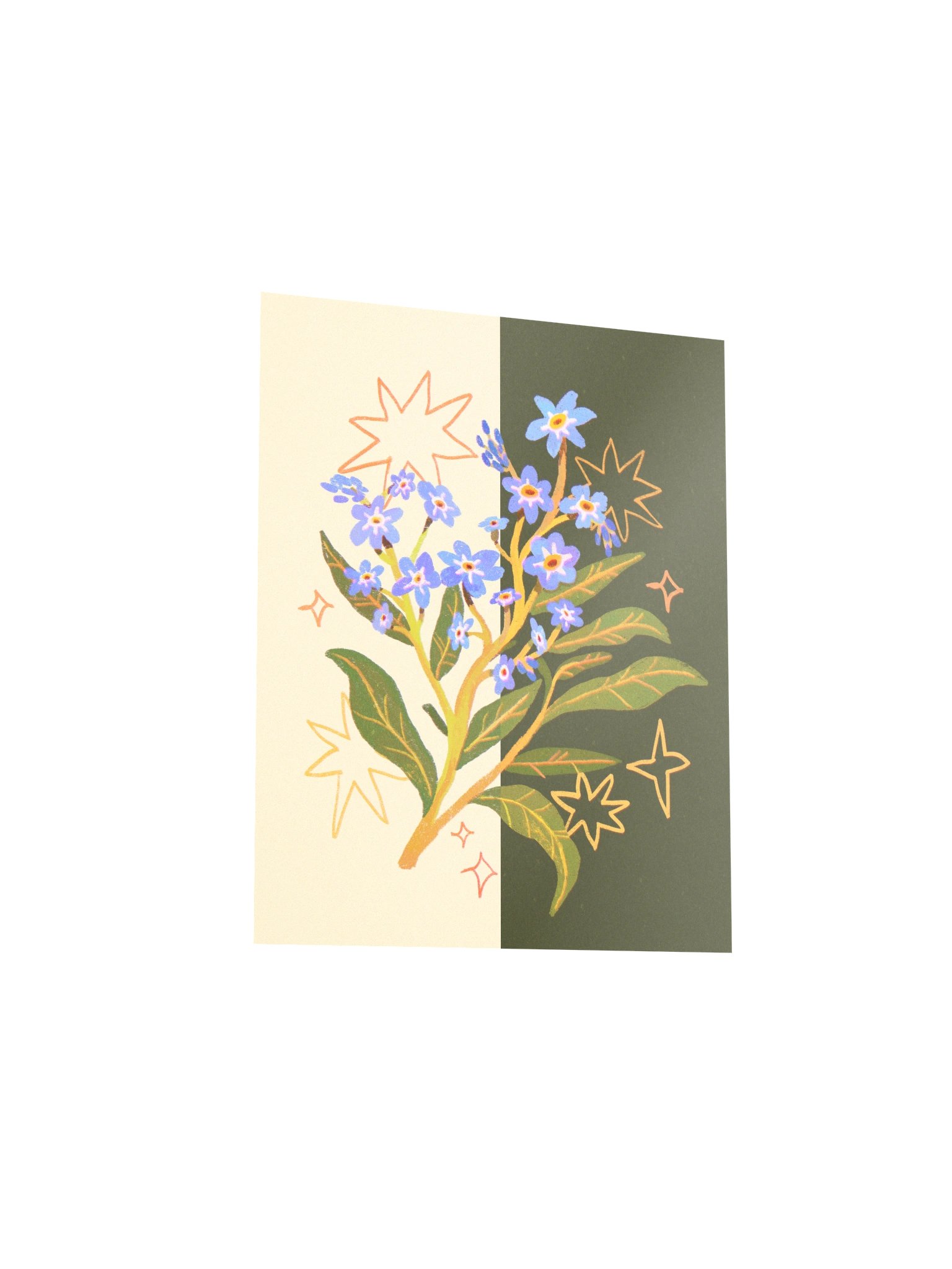 Day to Night Forget-me-not - Print product image (4)