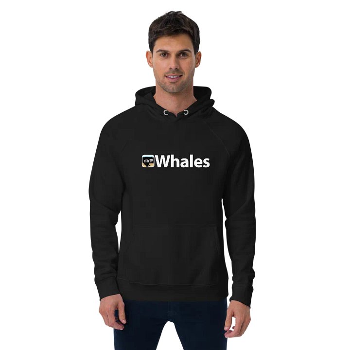 AfarTV Whales Hoodie - 100% Organic Cotton product image (1)