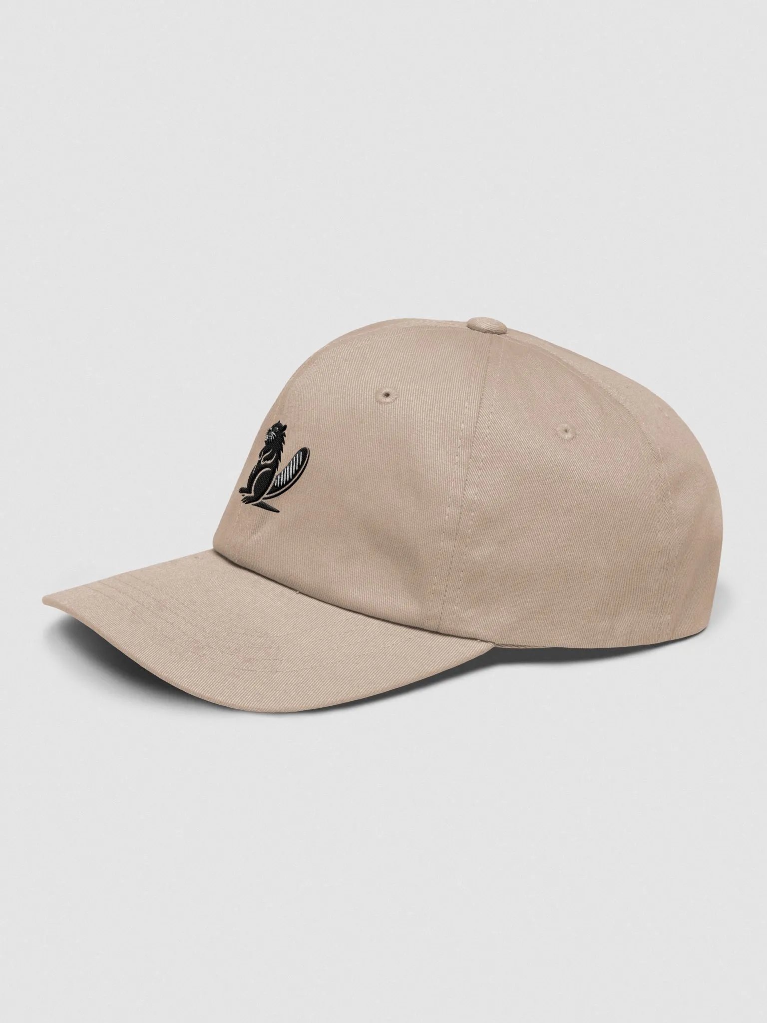 BVR | GEO Classic Cap product image (3)