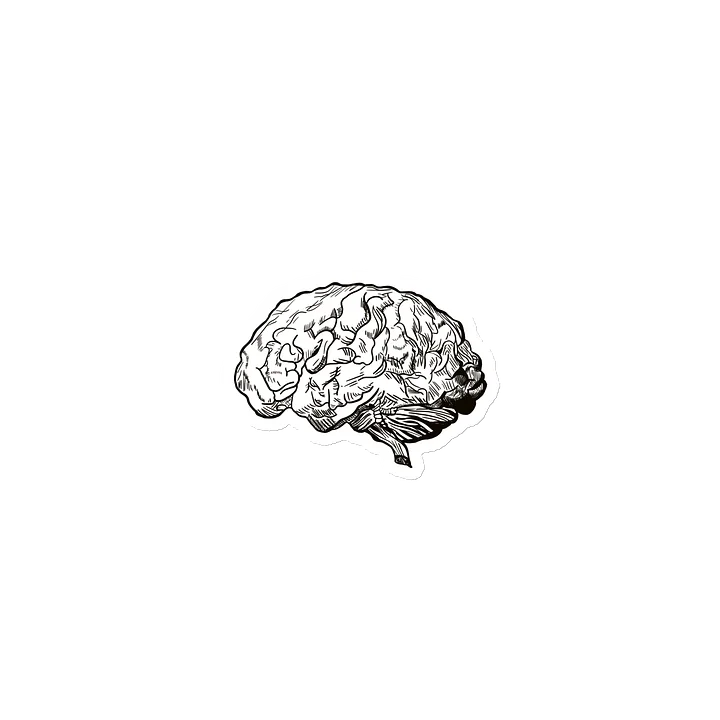 Brain Magnet product image (1)