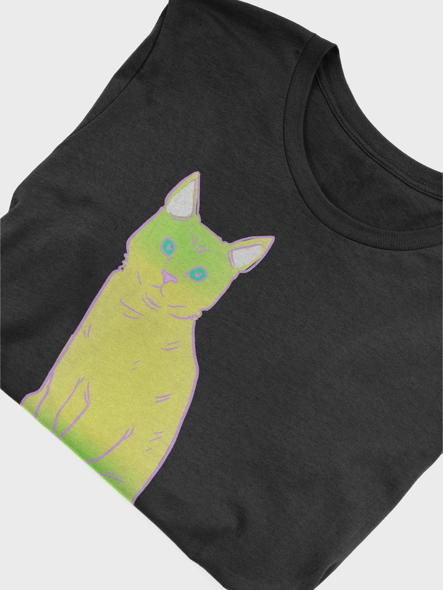cat product image (5)