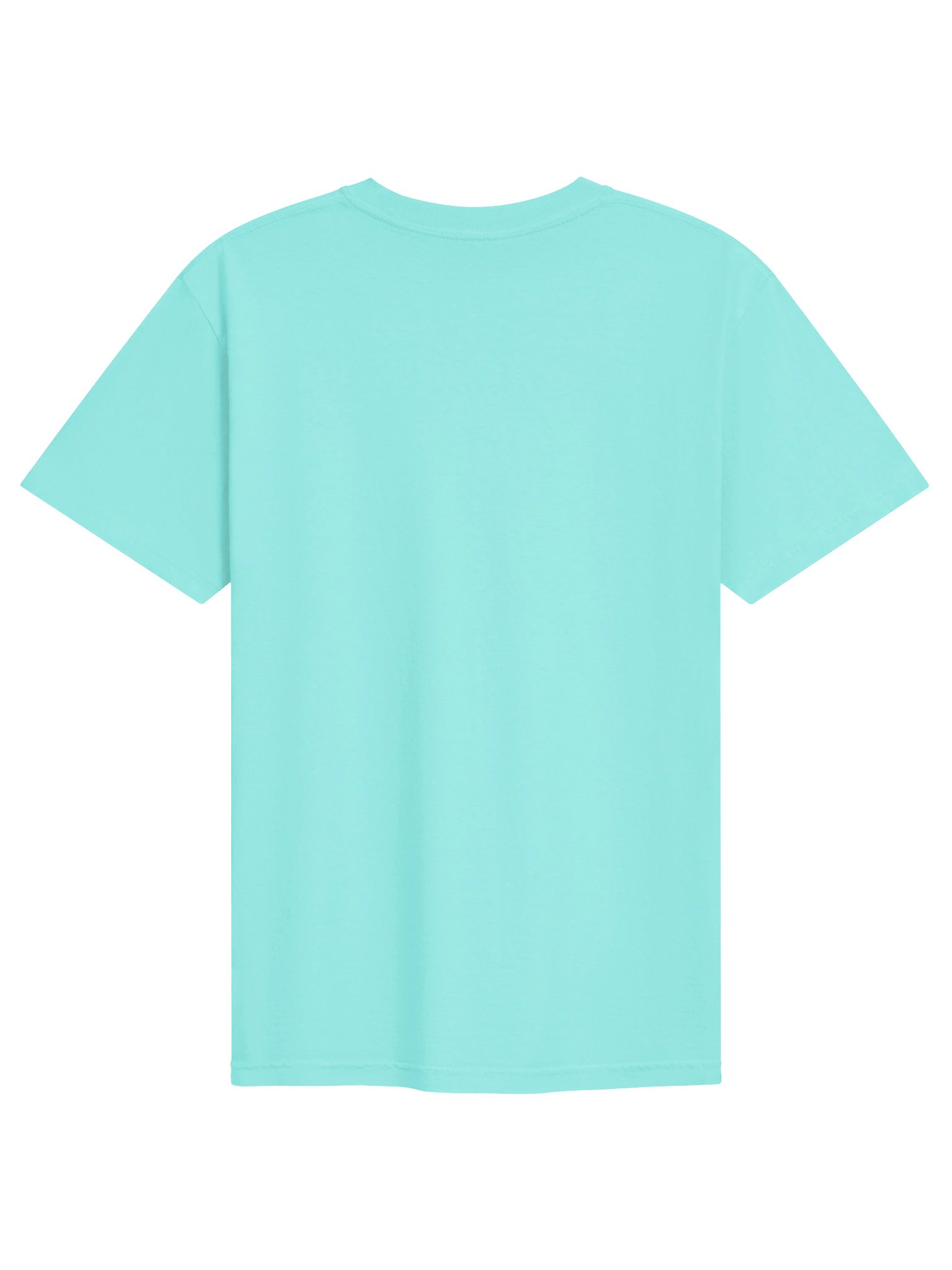Achilles Tang Premium T-Shirt (Embroidered) for Reef and Marine Aquarium Lovers product image (7)
