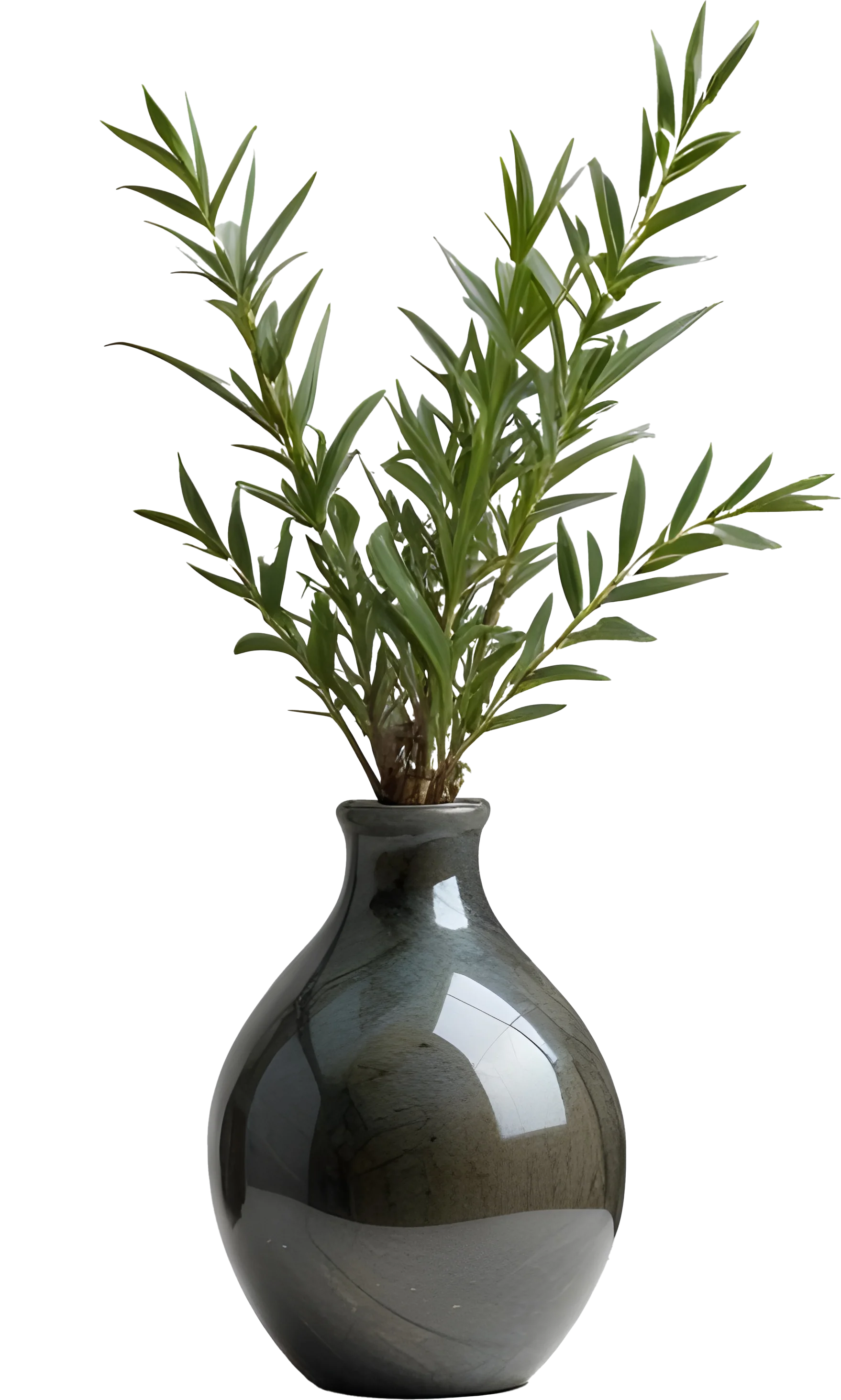 Moonlit Elegance – Decorative Vase PNG product image (1)