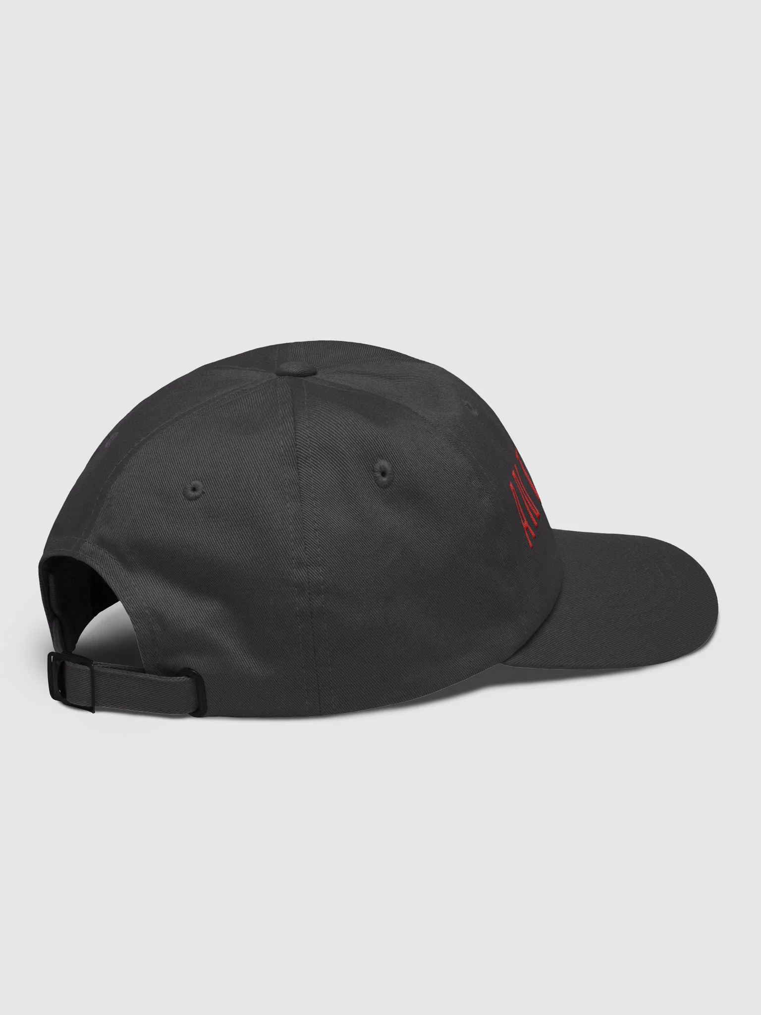 ANTEBELLUM CAP product image (4)