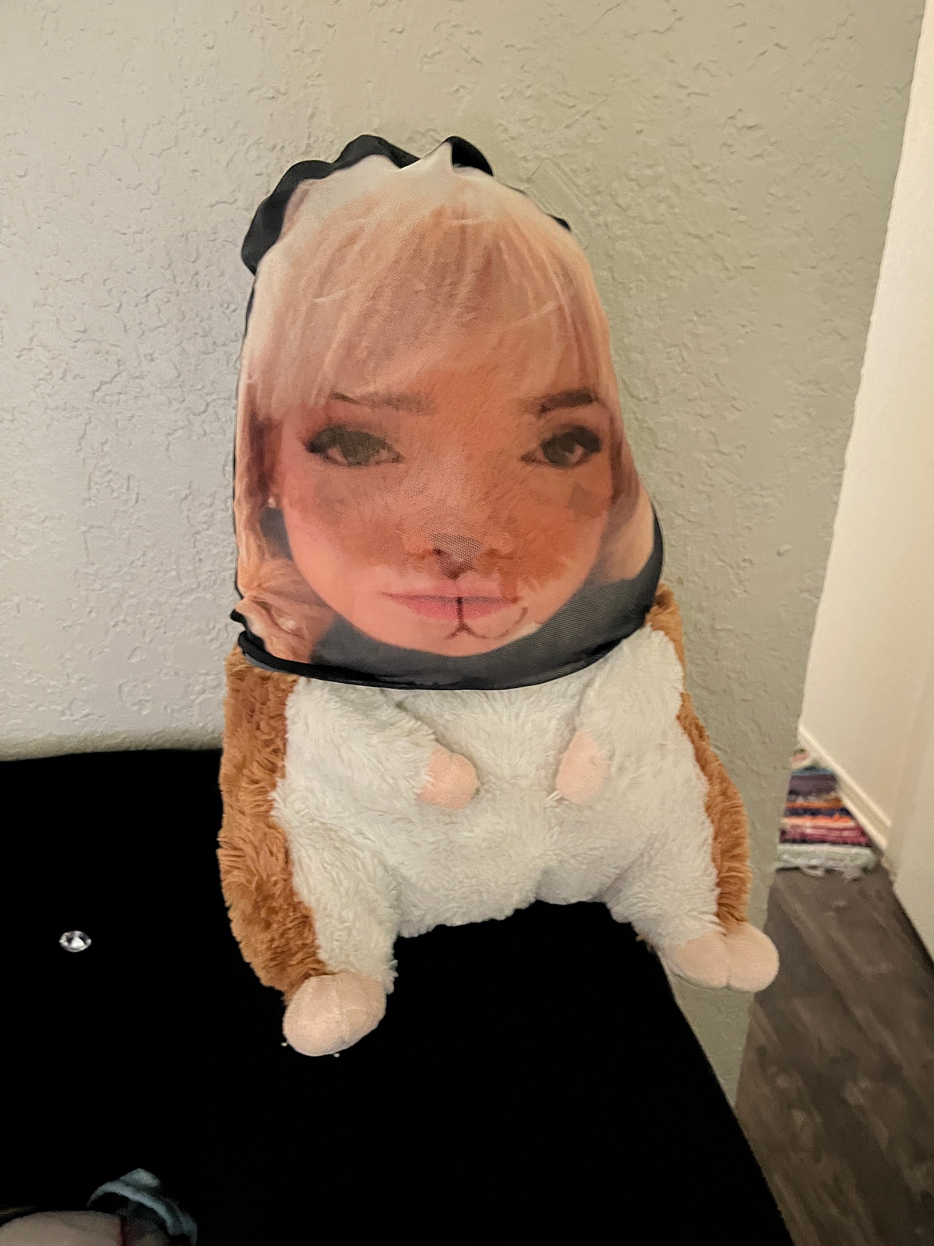 EMMA AS HAMSTER HOODIE product image (3)