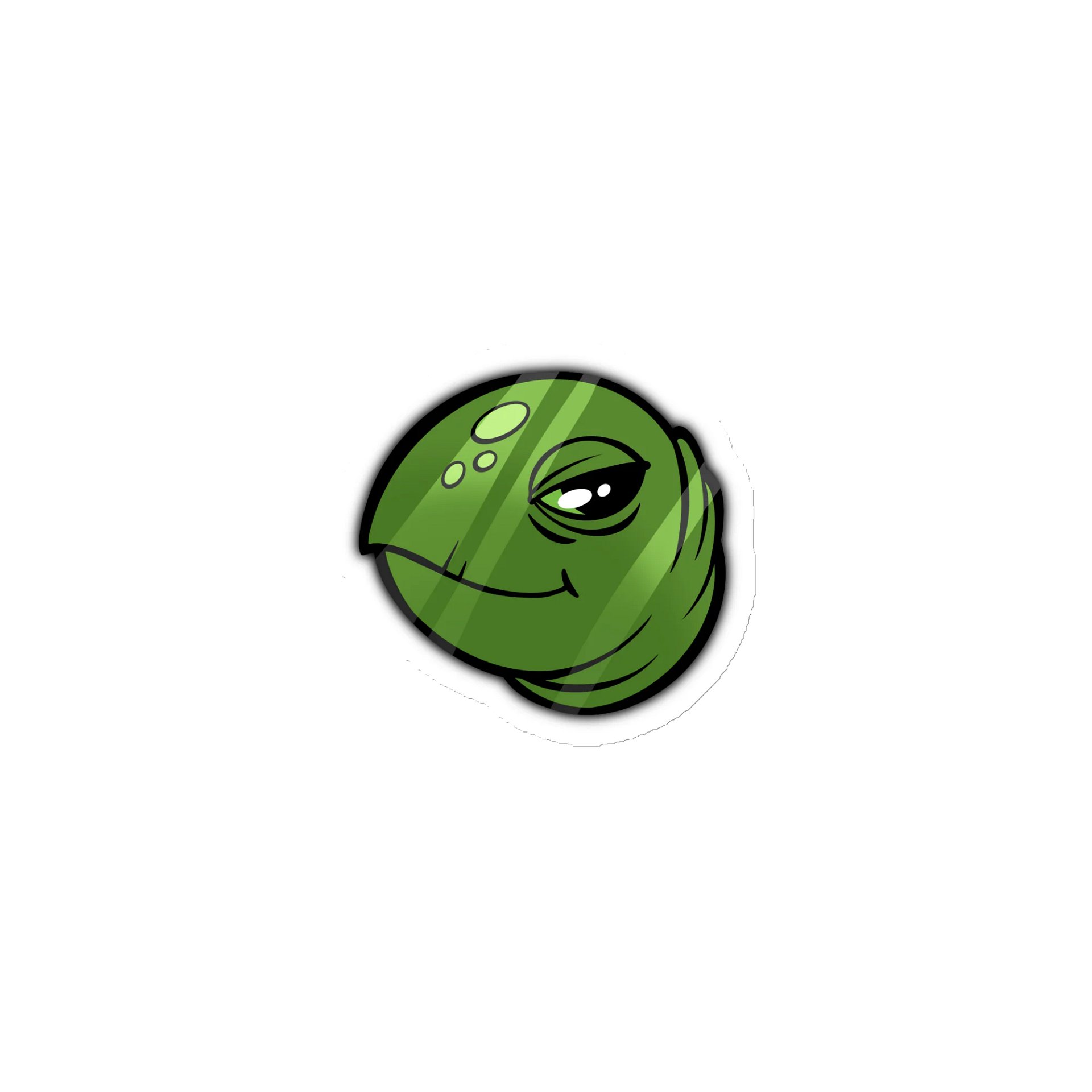 Magnetic Mr. Turtle product image (1)