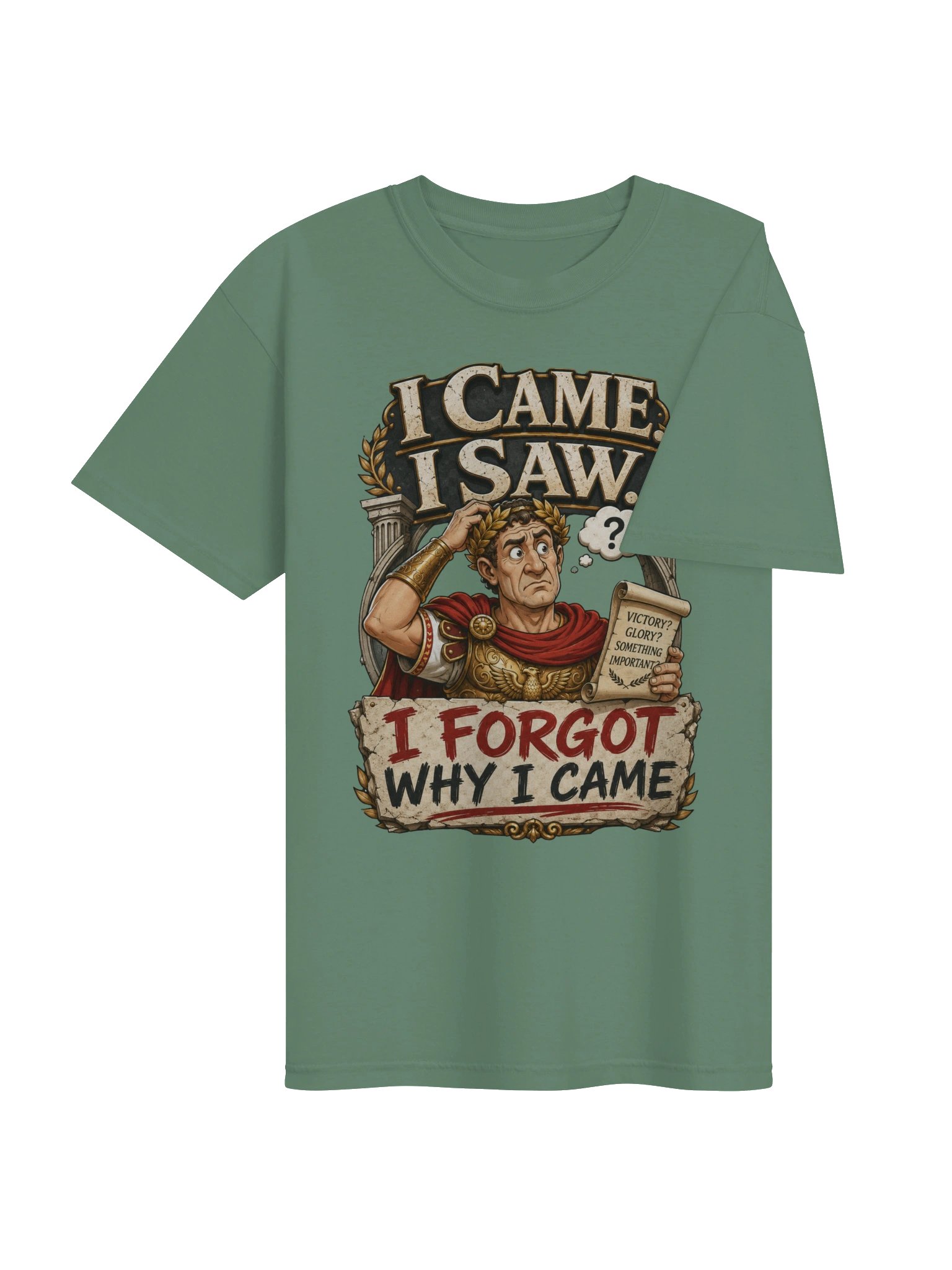 I Came I Saw I Forgot Why I Came Sarcastic T-Shirt product image (45)