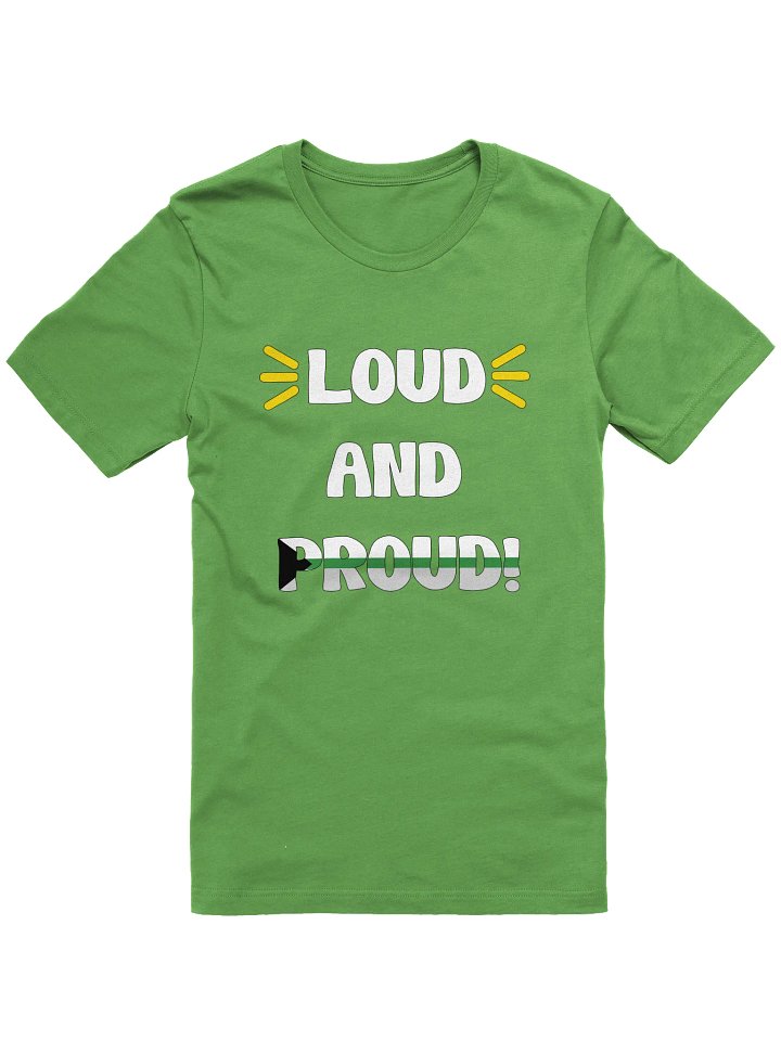Loud and Proud Demiromantic T-Shirt product image (9)