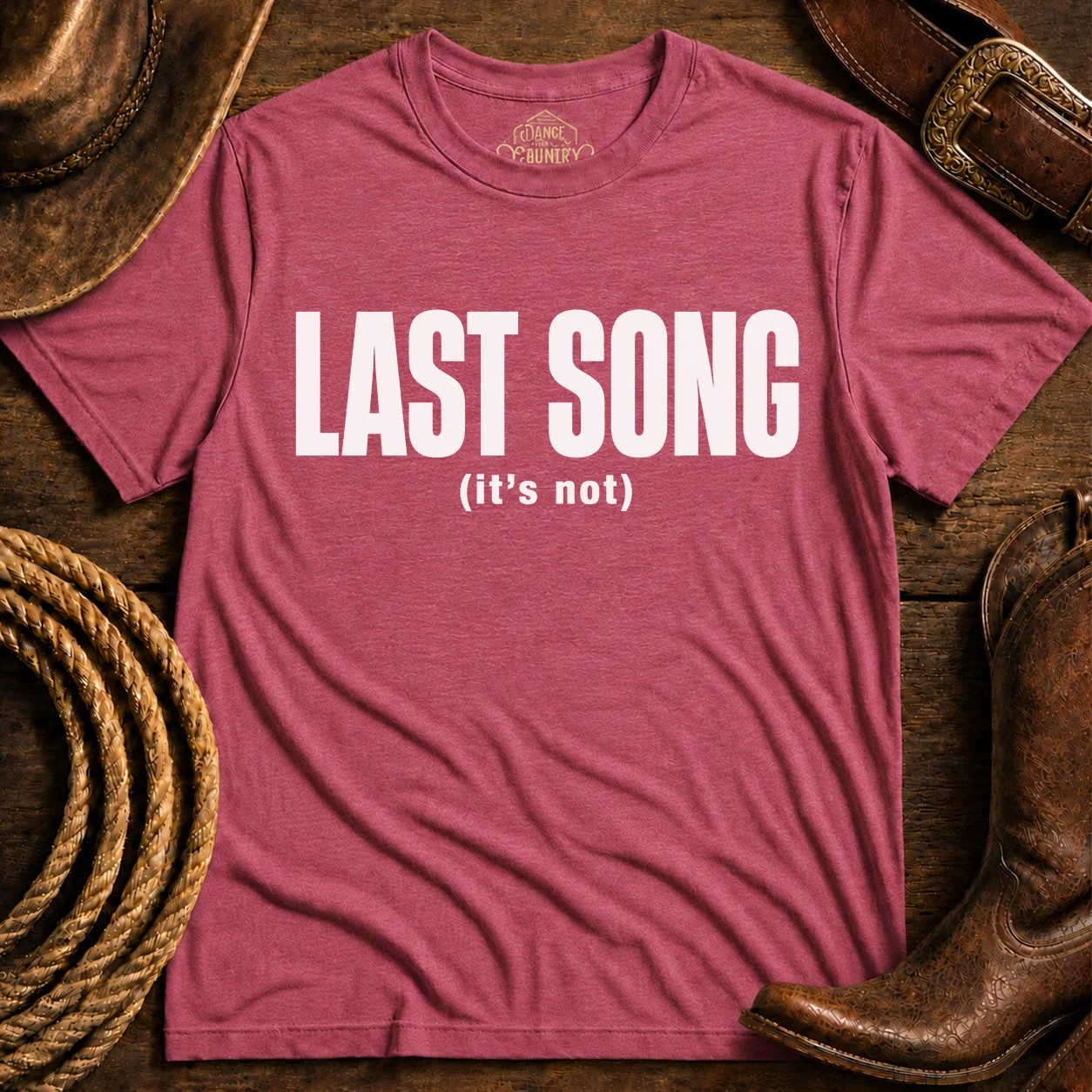 Last Song product image (1)