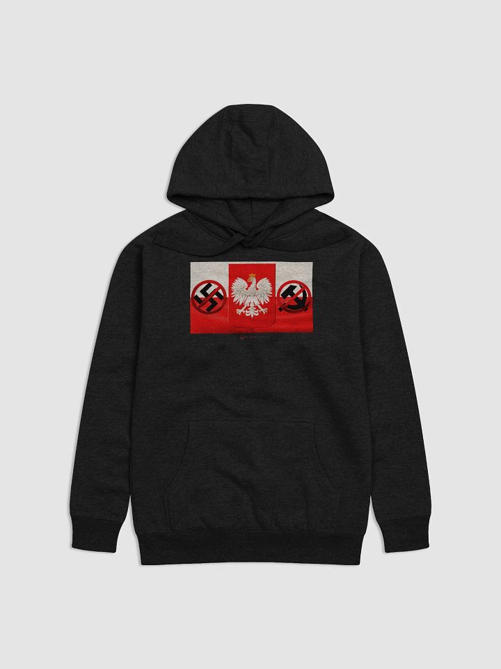 The Polish Spirit Hoodie product image (1)