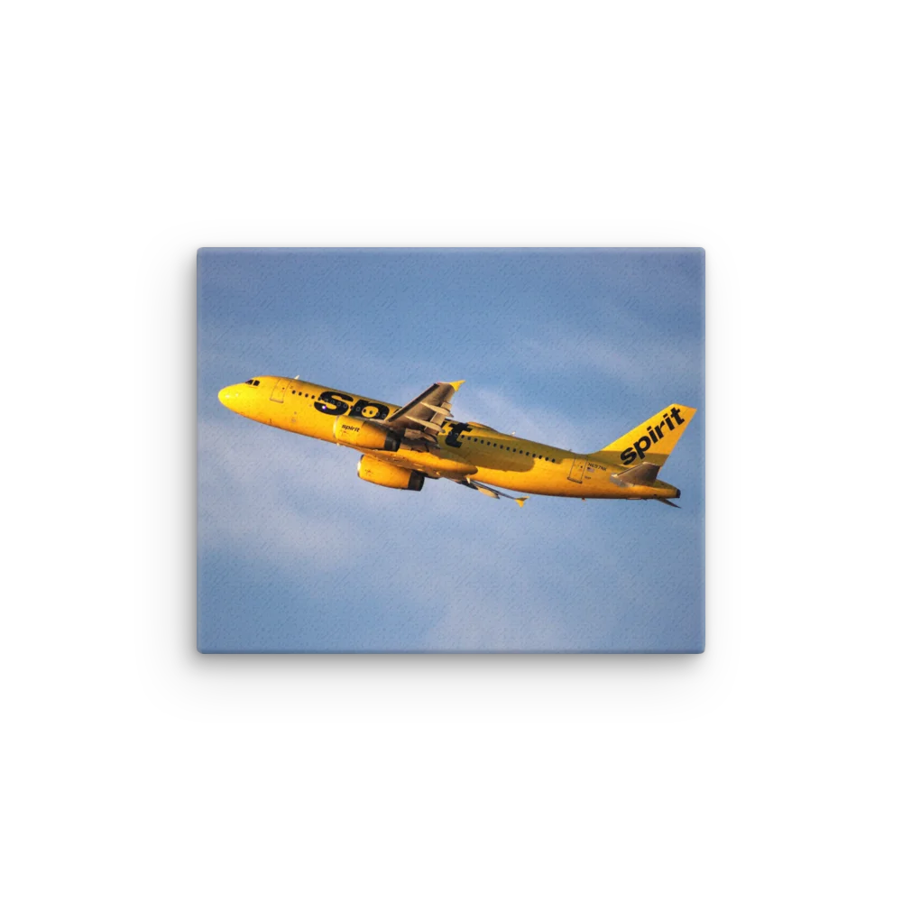 Spirit Airlines Thin Canvas product image (10)