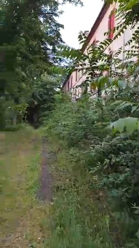 L'hôpital du diable 

Au cœur d’une vallée oubliée, dissimulé derrière une forêt épaisse et des barbelés rouillés, se dresse ...