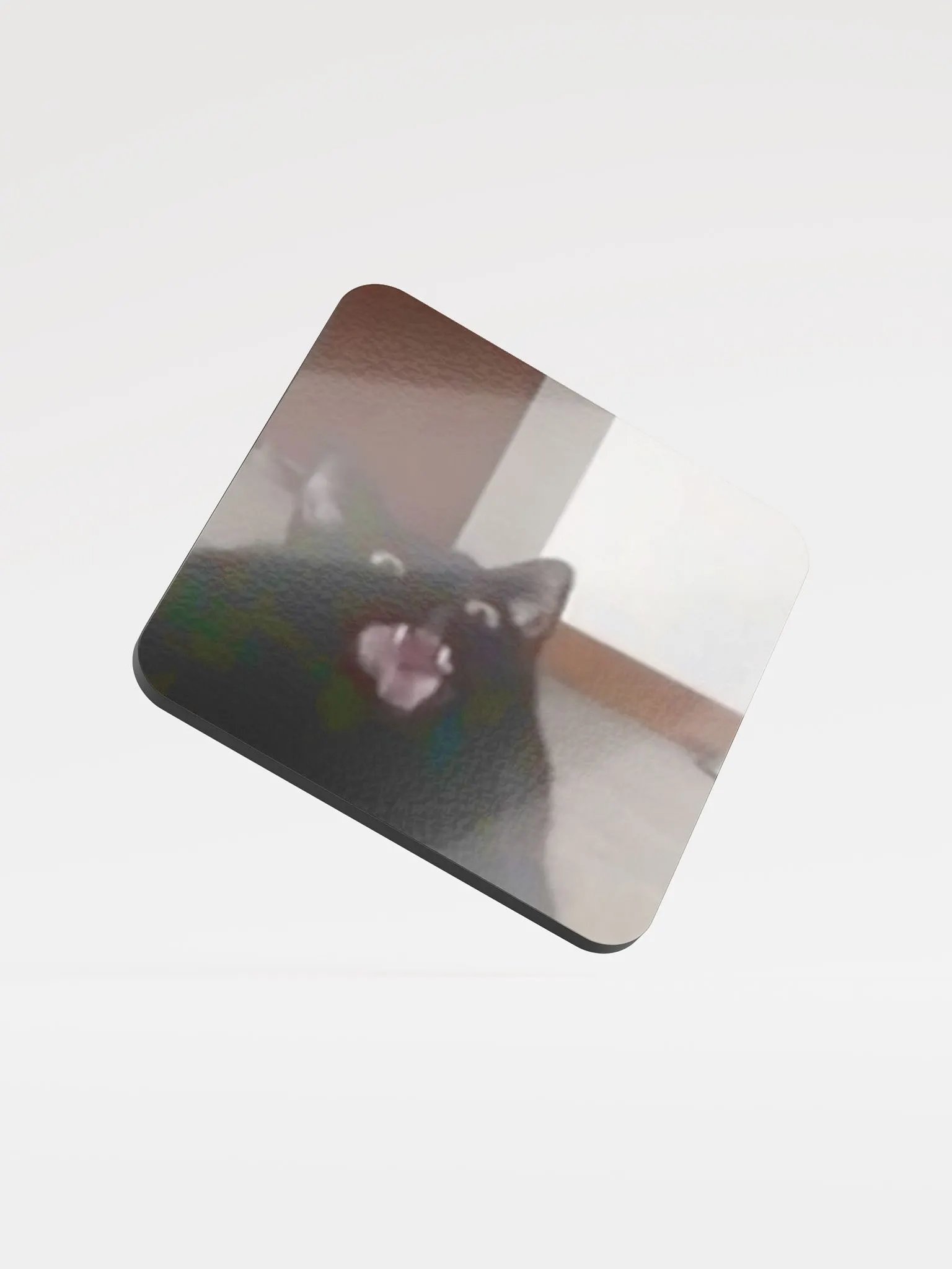Glossed Cork Coaster: Meme Cats product image (1)