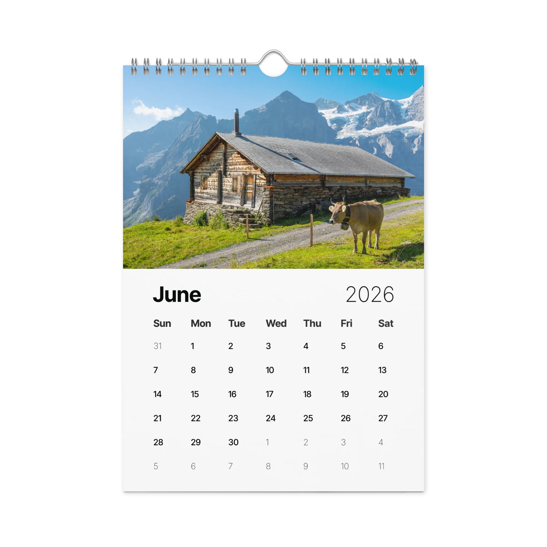 Swiss Cow Calendar 2026 product image (7)