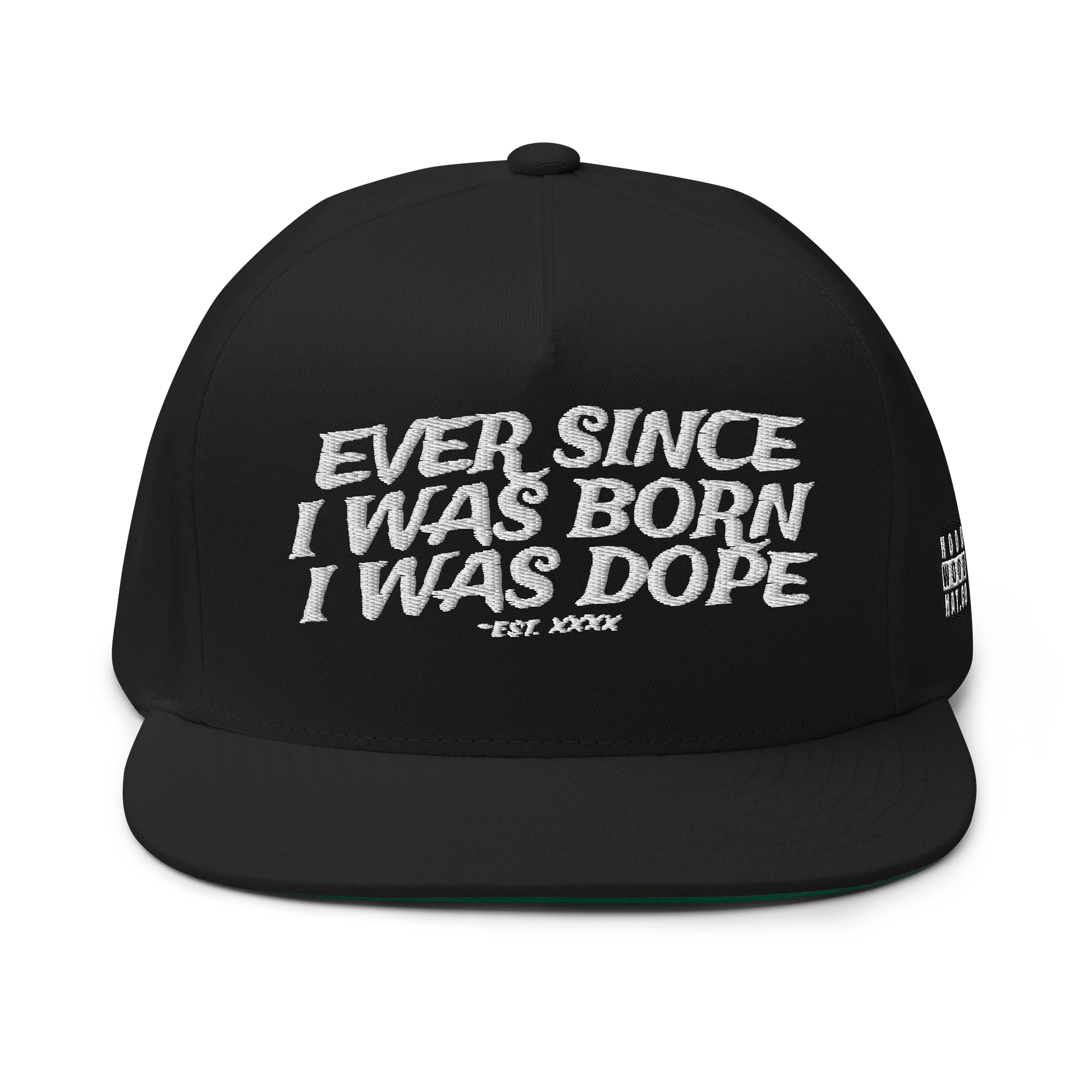 EVER SINCE - Embroidered SnapBack Flatbill product image (1)