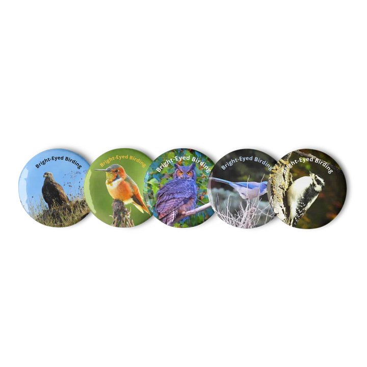 Bright-Eyed Birding Buttons (2023) product image (1)