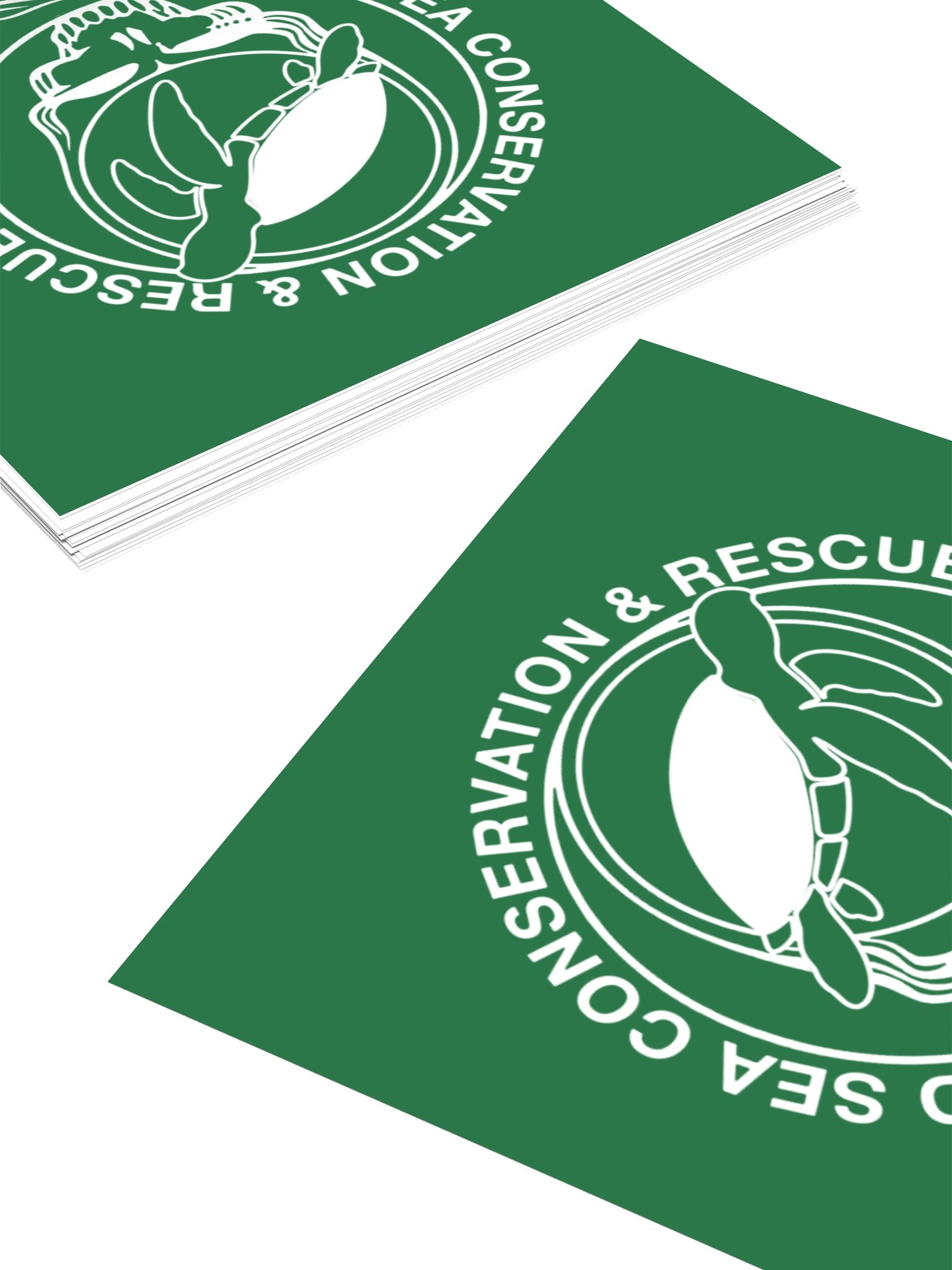 TURTLE CONSERVATION STICKER product image (4)