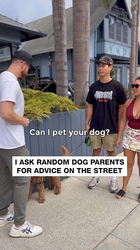 CAN I PET YOUR DOG?

Episode 6: Featuring @goodgirlgrizz
📍 Abott Kinney

You can catch Grizzly, Kevin, & Kimmy at @marvistarc...
