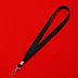 Whistle Lanyard