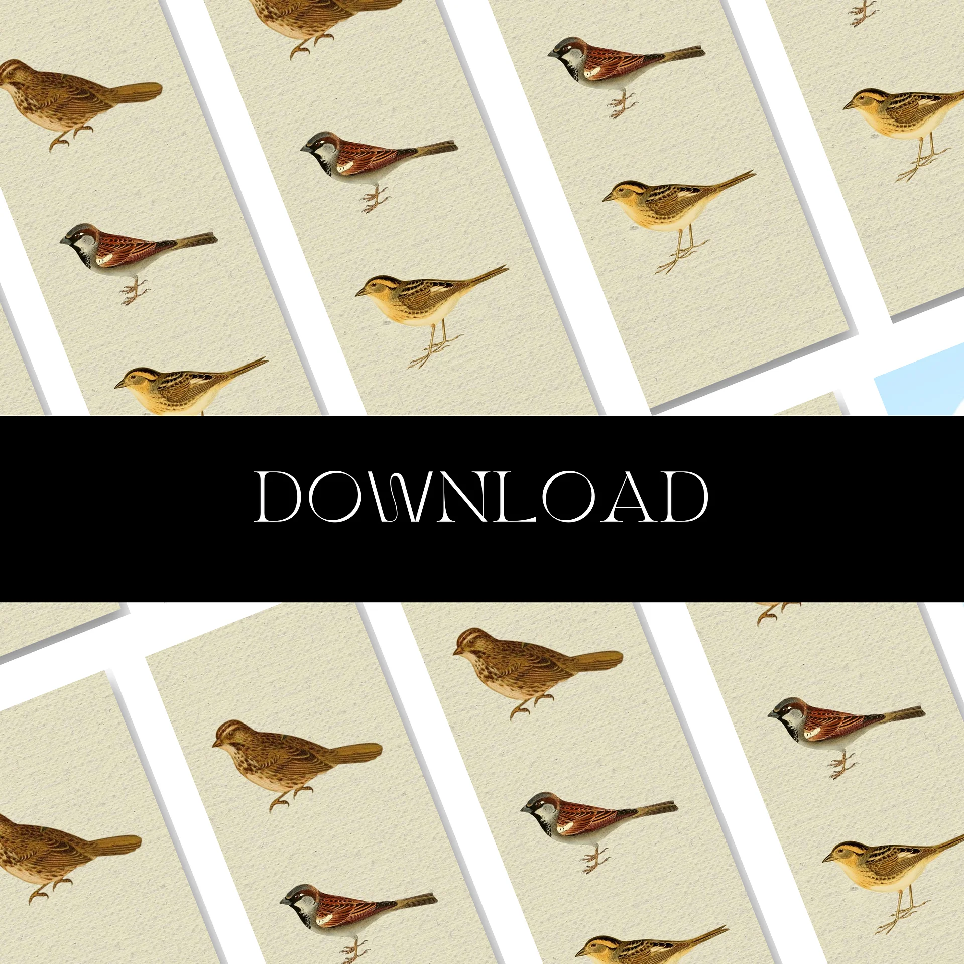 Sparrow Bookmark product image (9)
