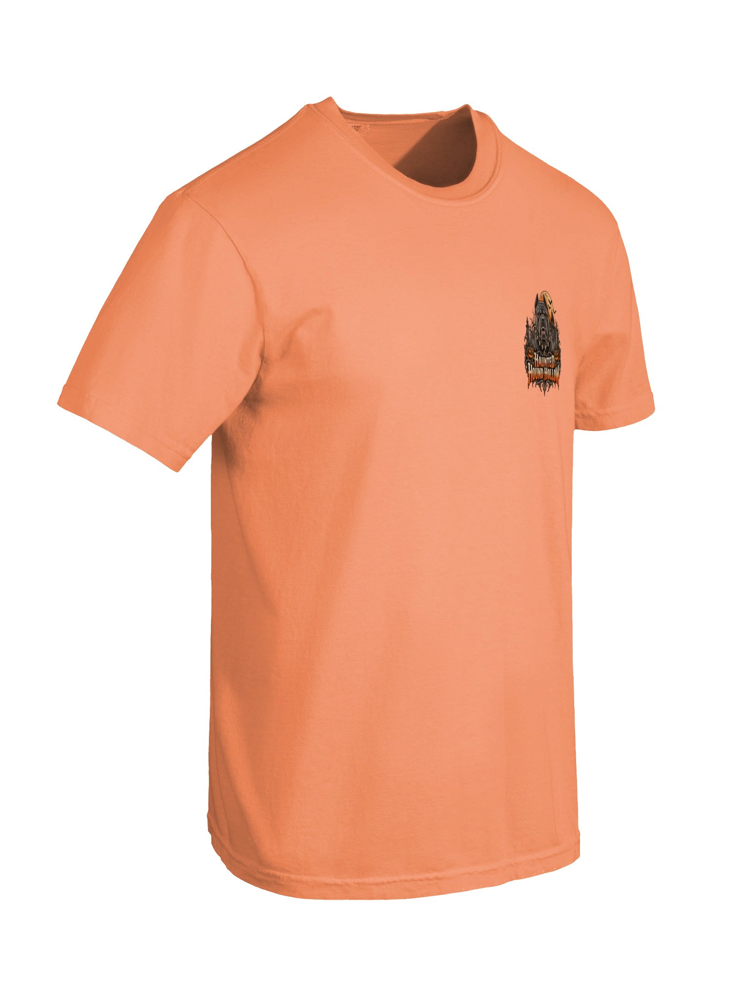 Haunted Hound Hollow Halloween Tee product image (55)