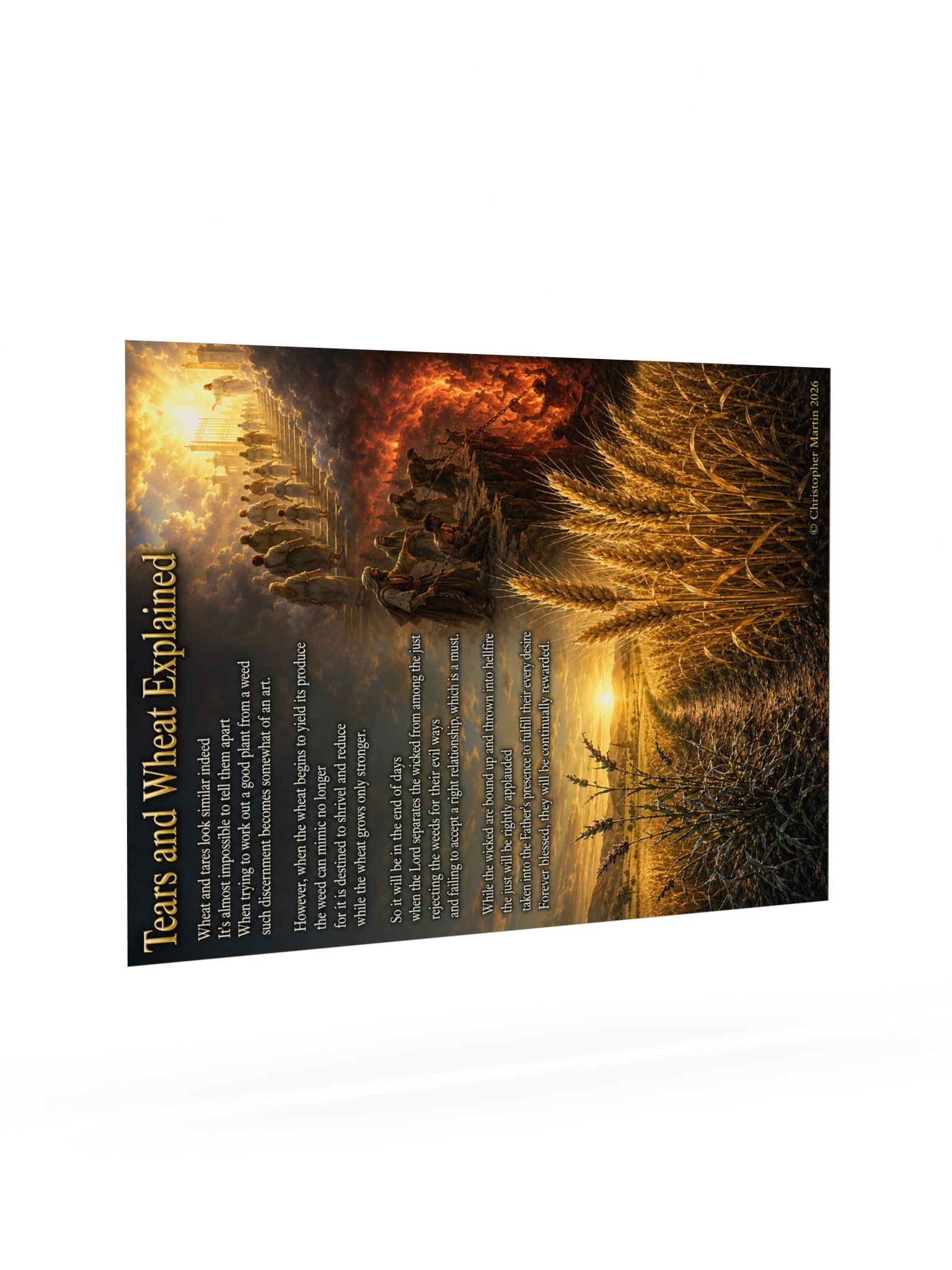 Tares and wheat explained product image (7)