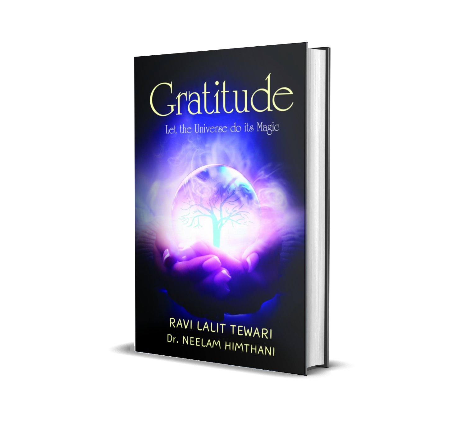 Gratitude: Let the Universe Do Its Magic product image (2)
