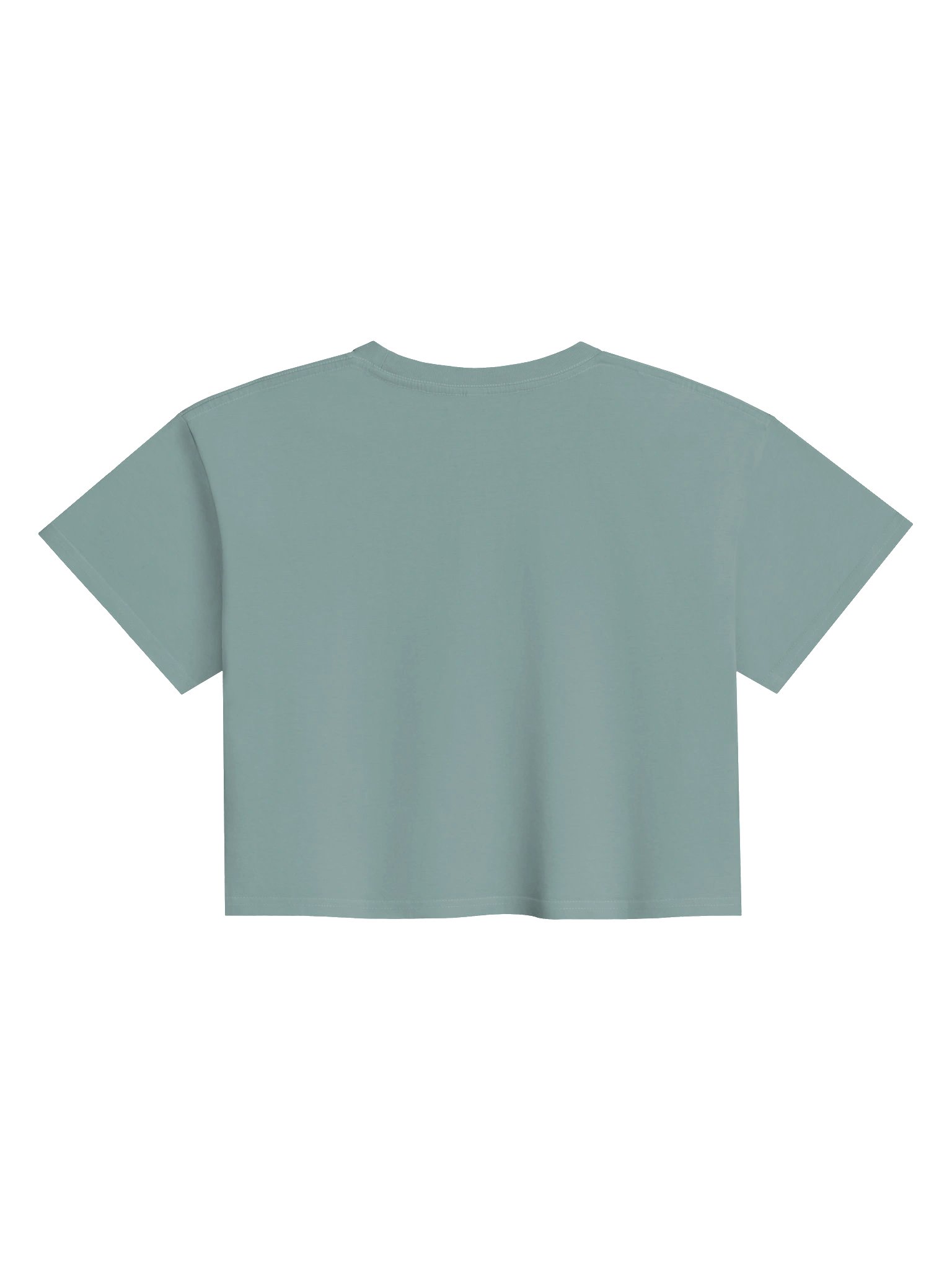 Clear Counsel Crop Tee product image (2)