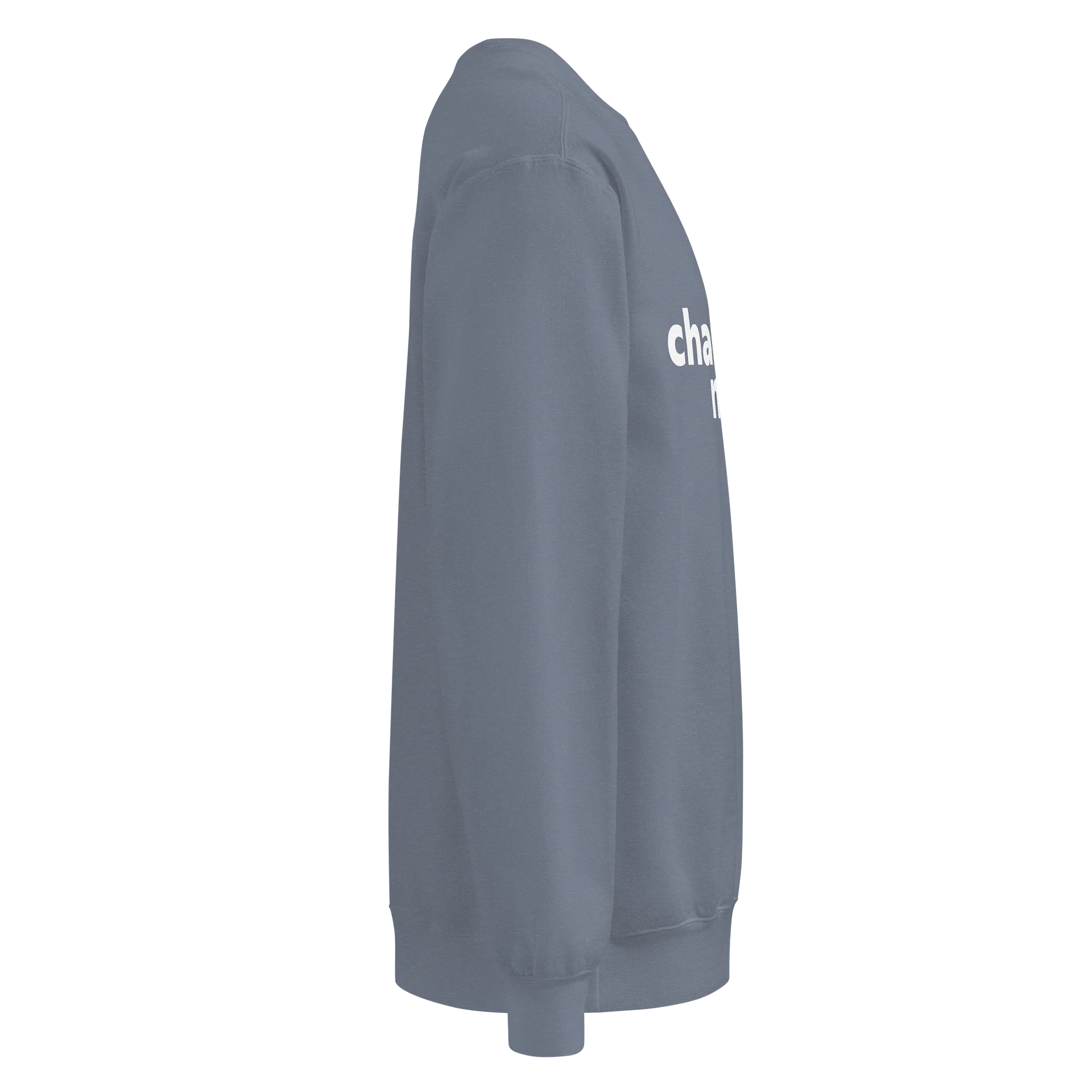 charleston mom sweatshirt product image (38)