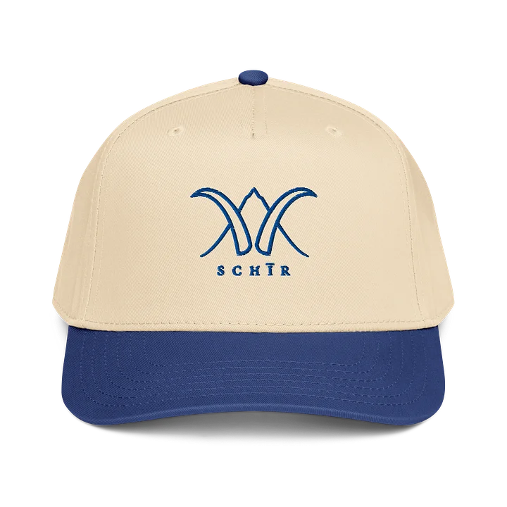HORNS HAT - BLUE product image (1)