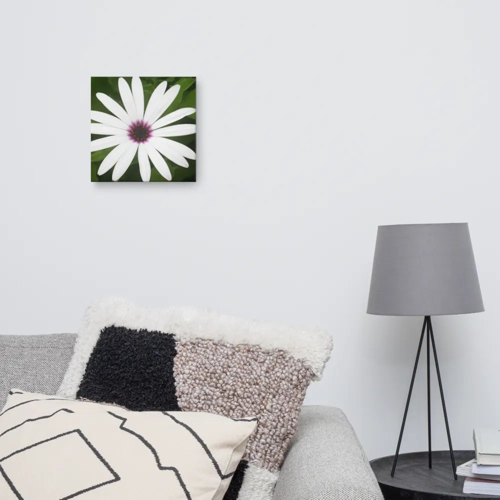 Daisy on Canvas product image (10)